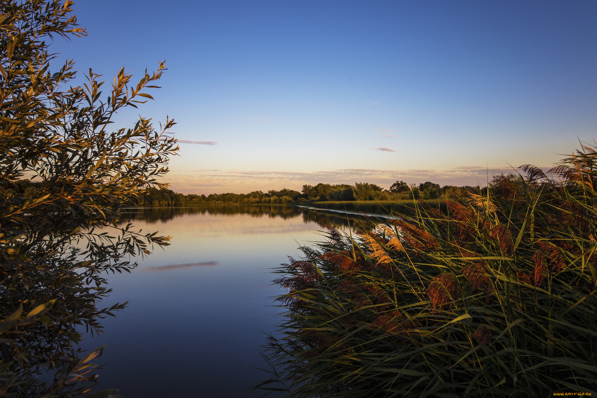 природа, реки, озера, лес, река