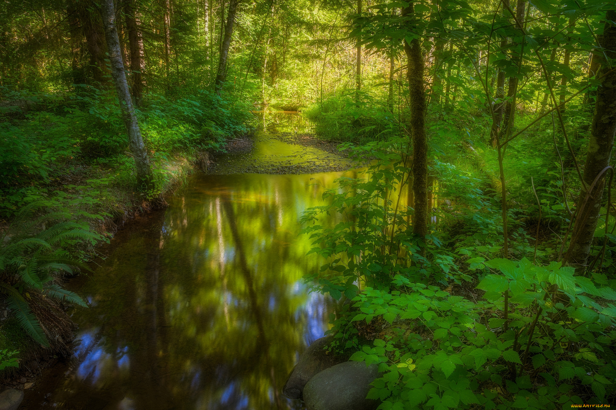 природа, реки, озера, река, лес