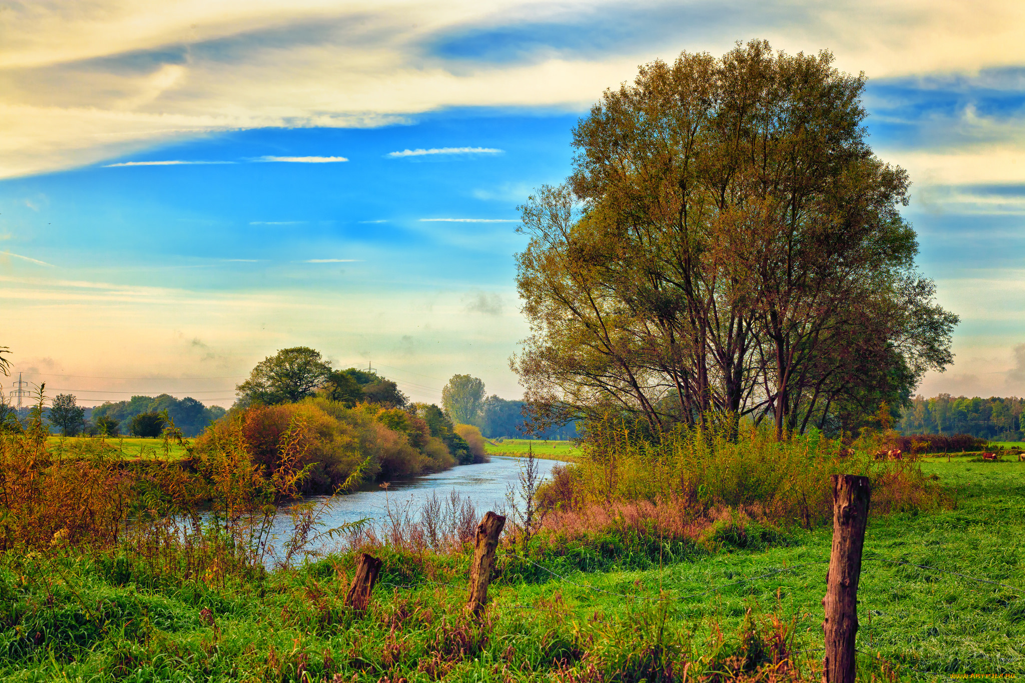 природа, реки, озера, река, лес