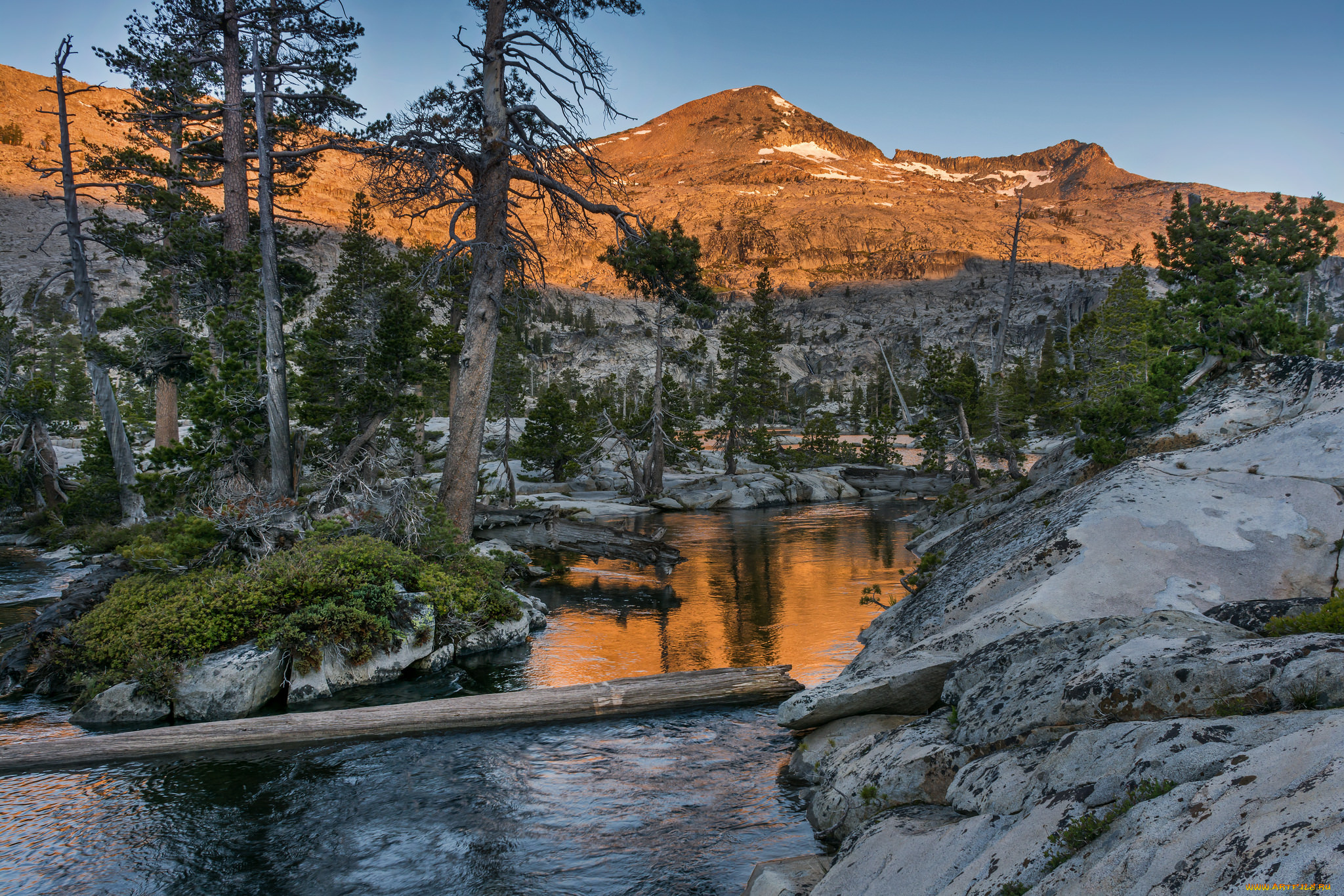 природа, реки, озера, река, лес, горы