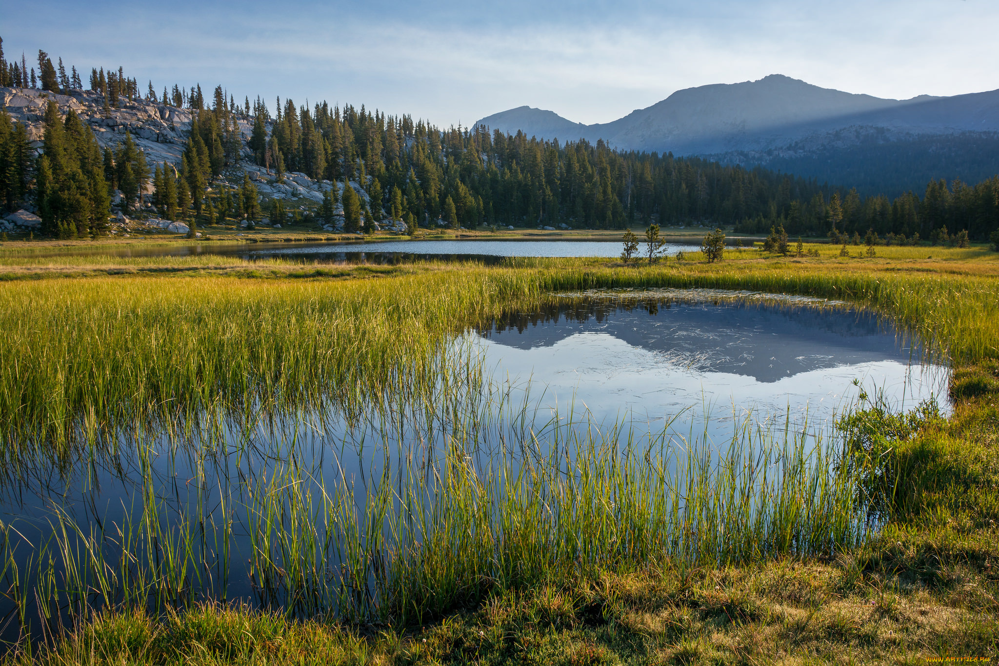 природа, реки, озера, река, лес, горы