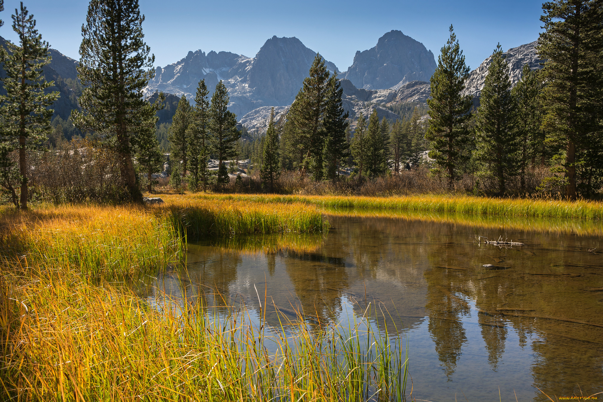 природа, реки, озера, река, лес, горы