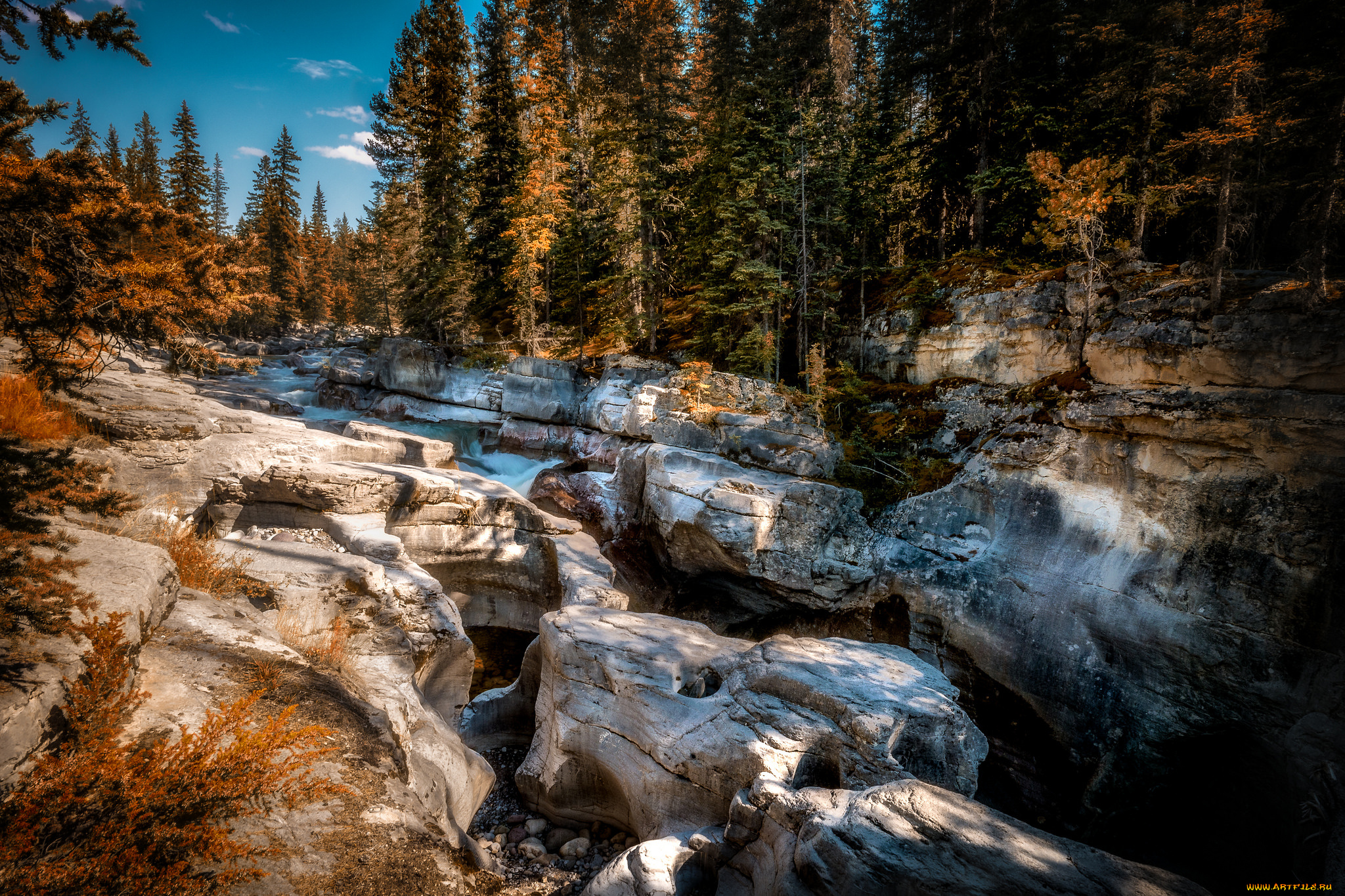 природа, реки, озера, река, лес, горы