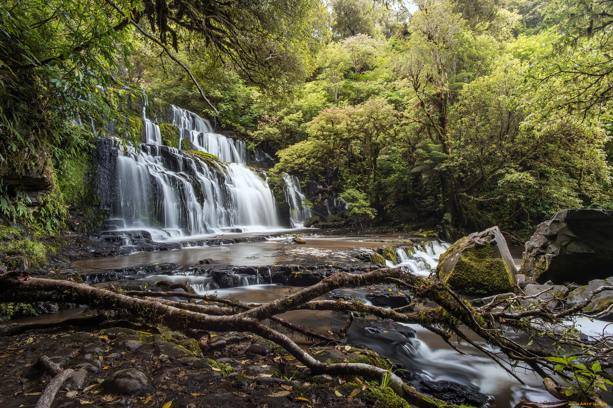 природа, водопады, лес, водопад, река