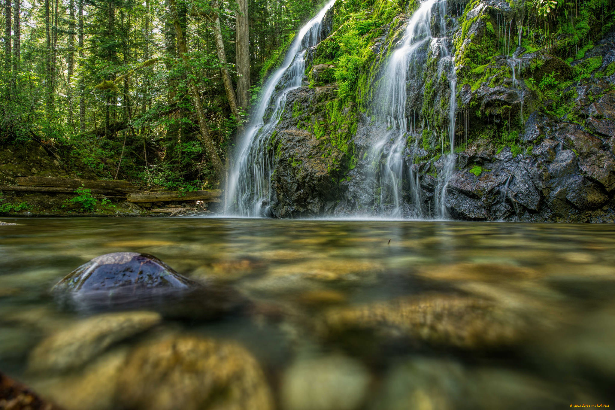 природа, водопады, лес, водопад, река