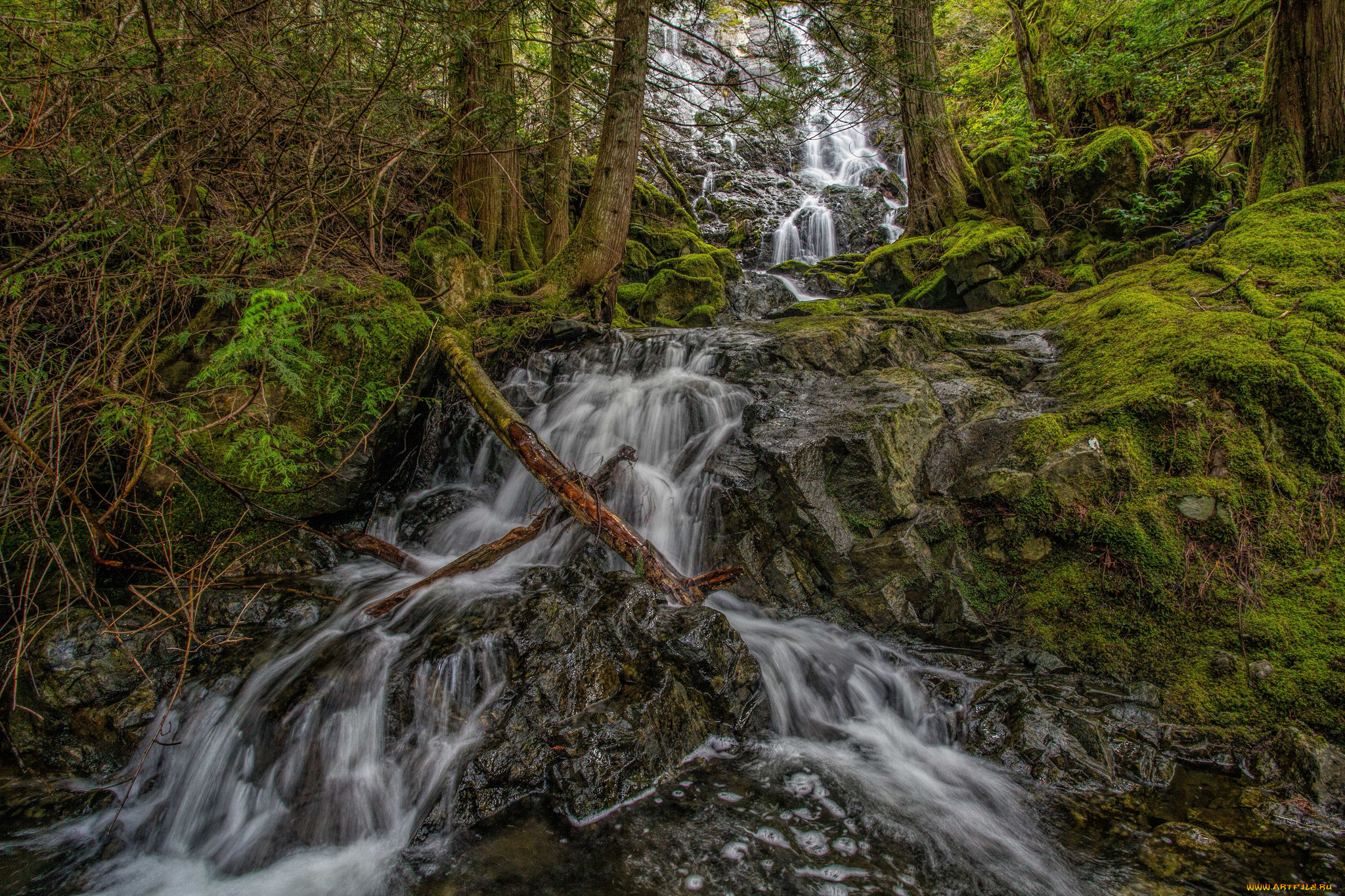 природа, водопады, река, лес, водопад