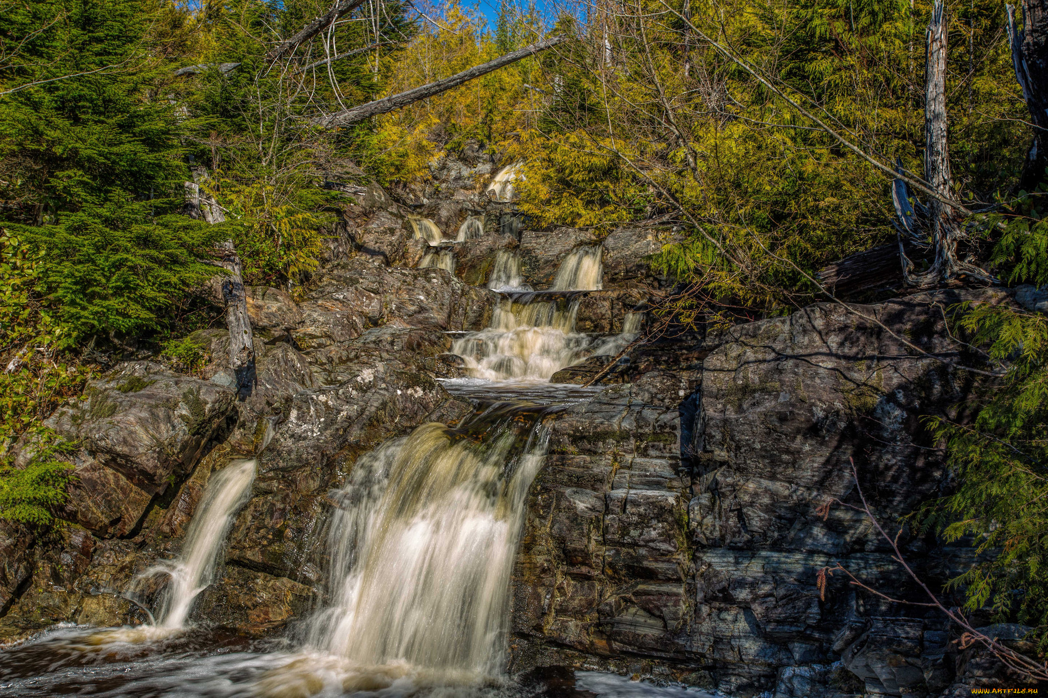 природа, водопады, река, лес, водопад