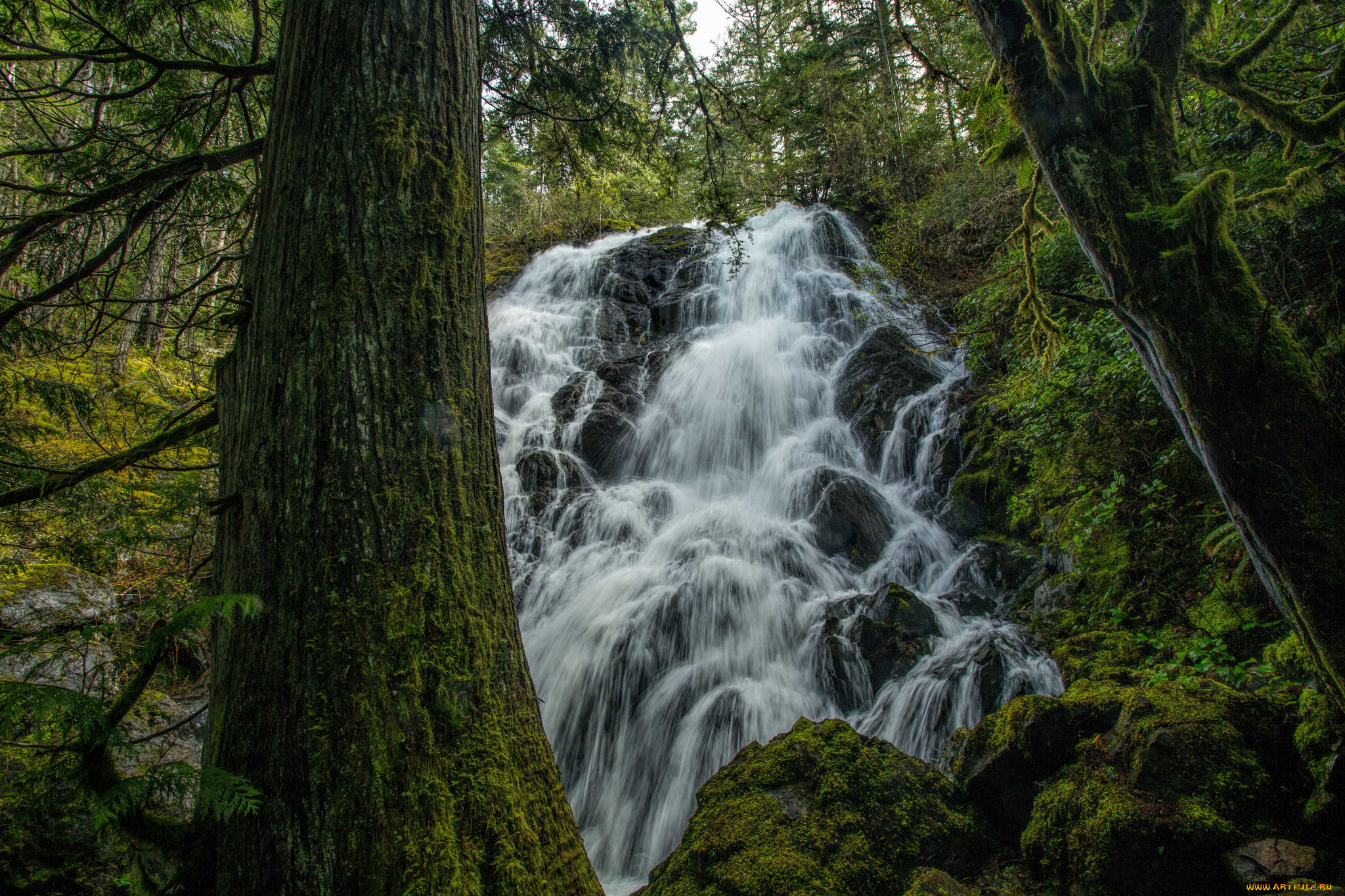 природа, водопады, водопад, река, лес