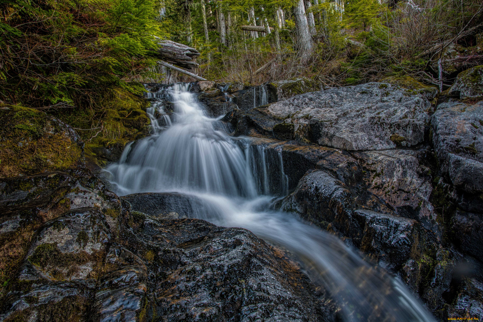 природа, водопады, водопад, река, лес