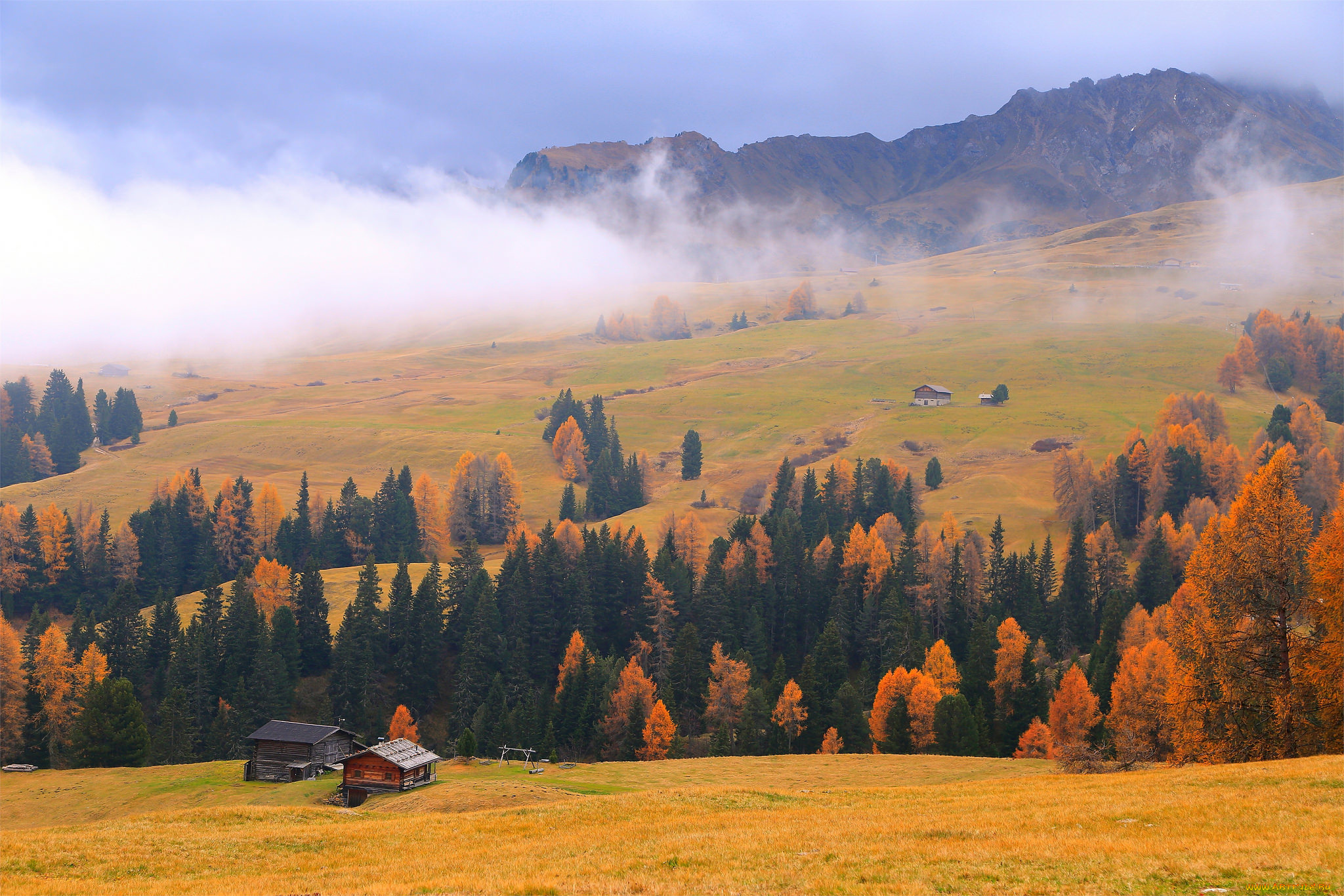 природа, лес, осень, дом