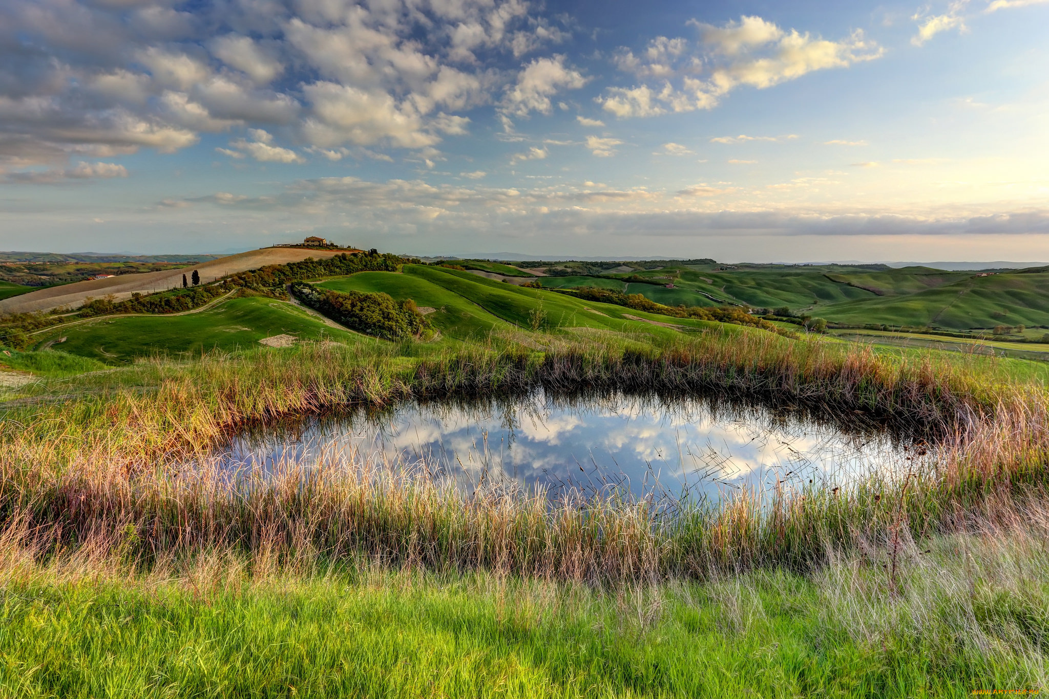 природа, реки, озера, поле, прудик