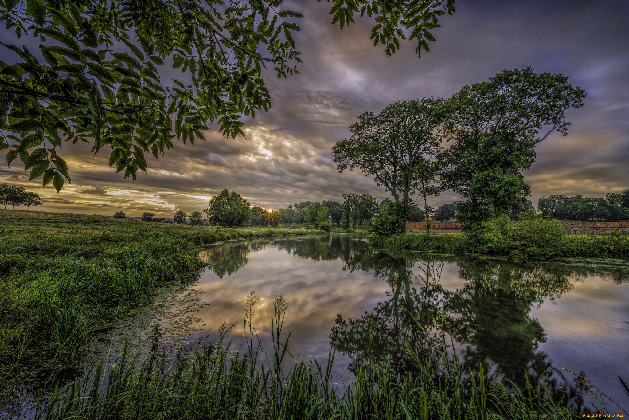 природа, реки, озера, лес, река