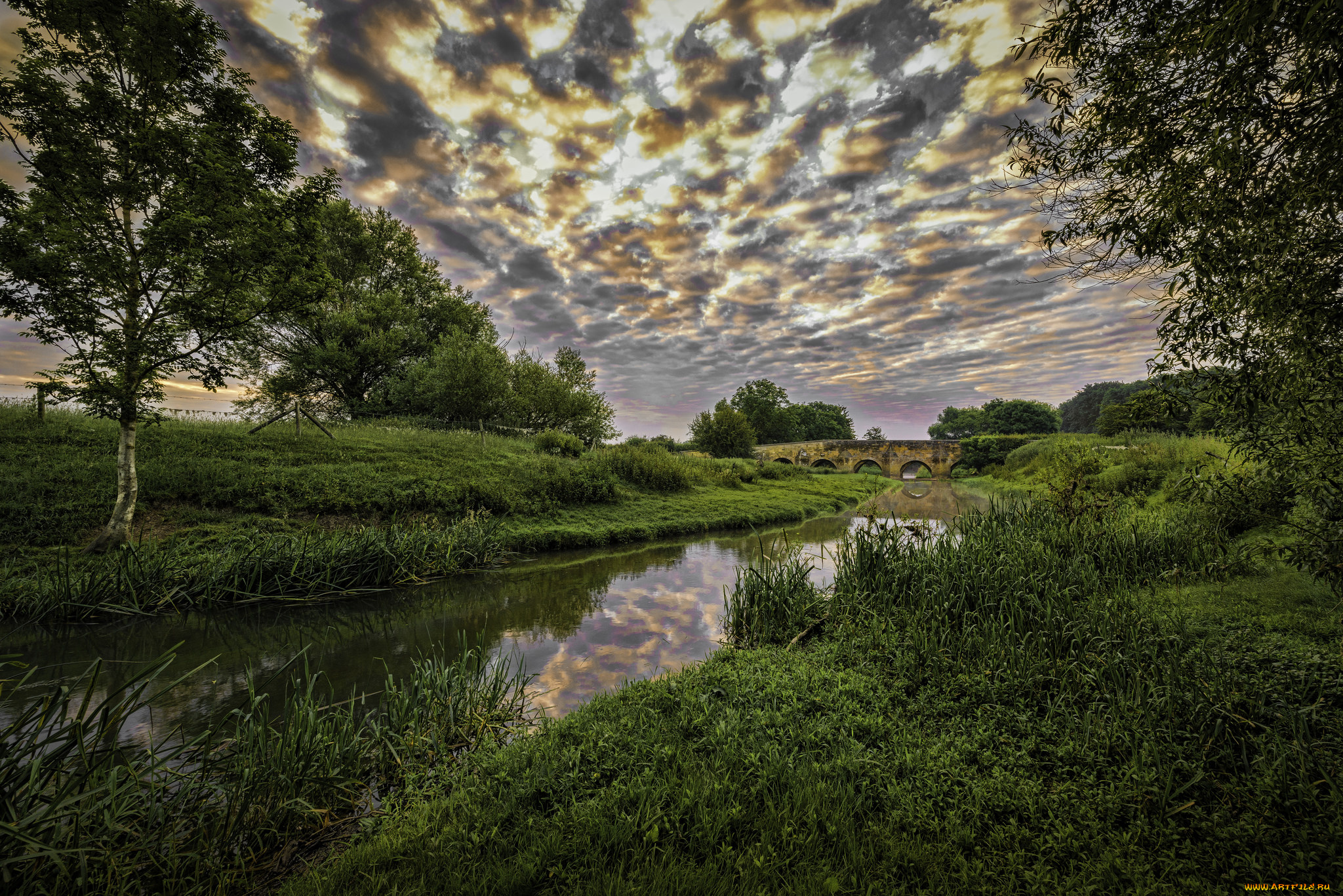 природа, реки, озера, река, лес