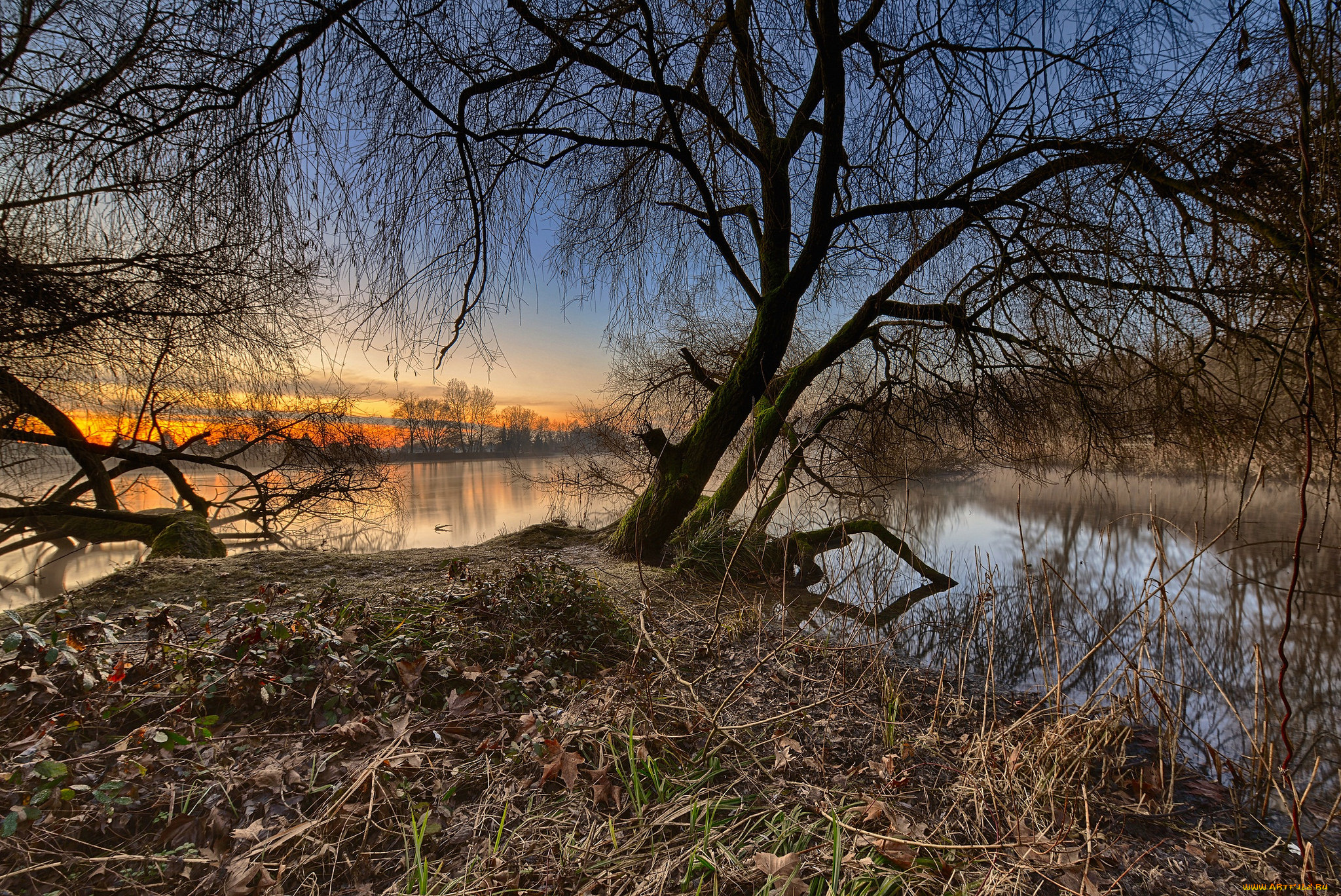 природа, реки, озера, лес, река