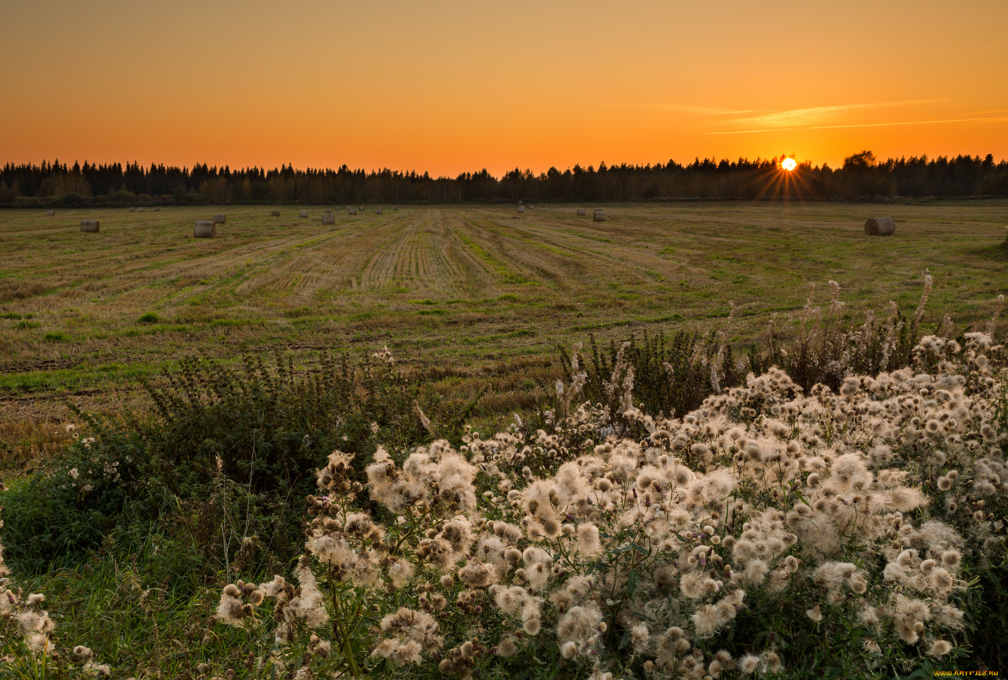 природа, восходы, закаты, закат