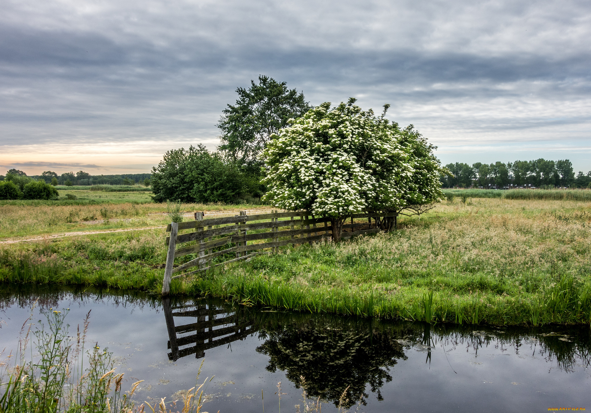 природа, реки, озера, река, лес