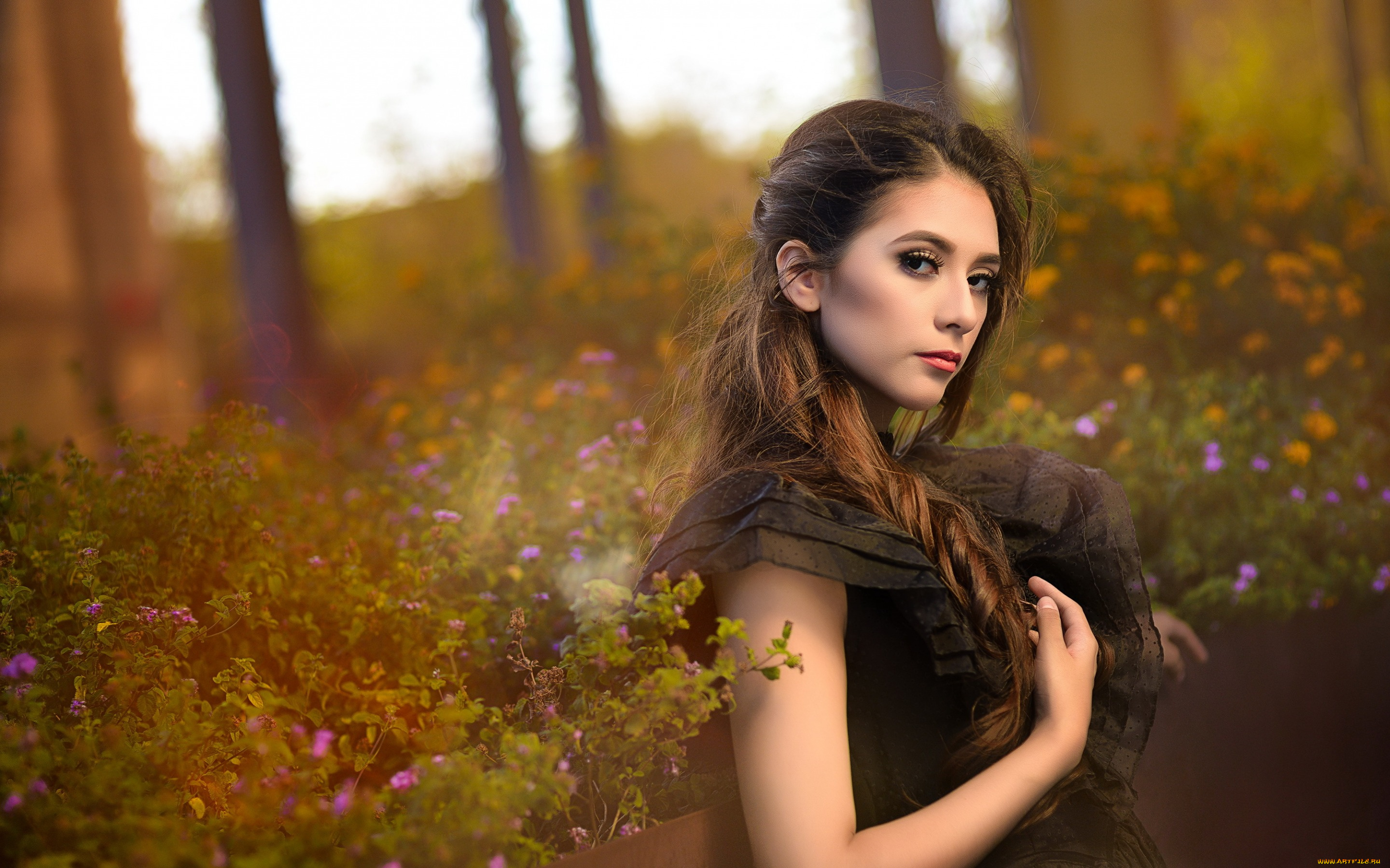 девушки, -unsort, , брюнетки, , шатенки, фон, поза, девушка