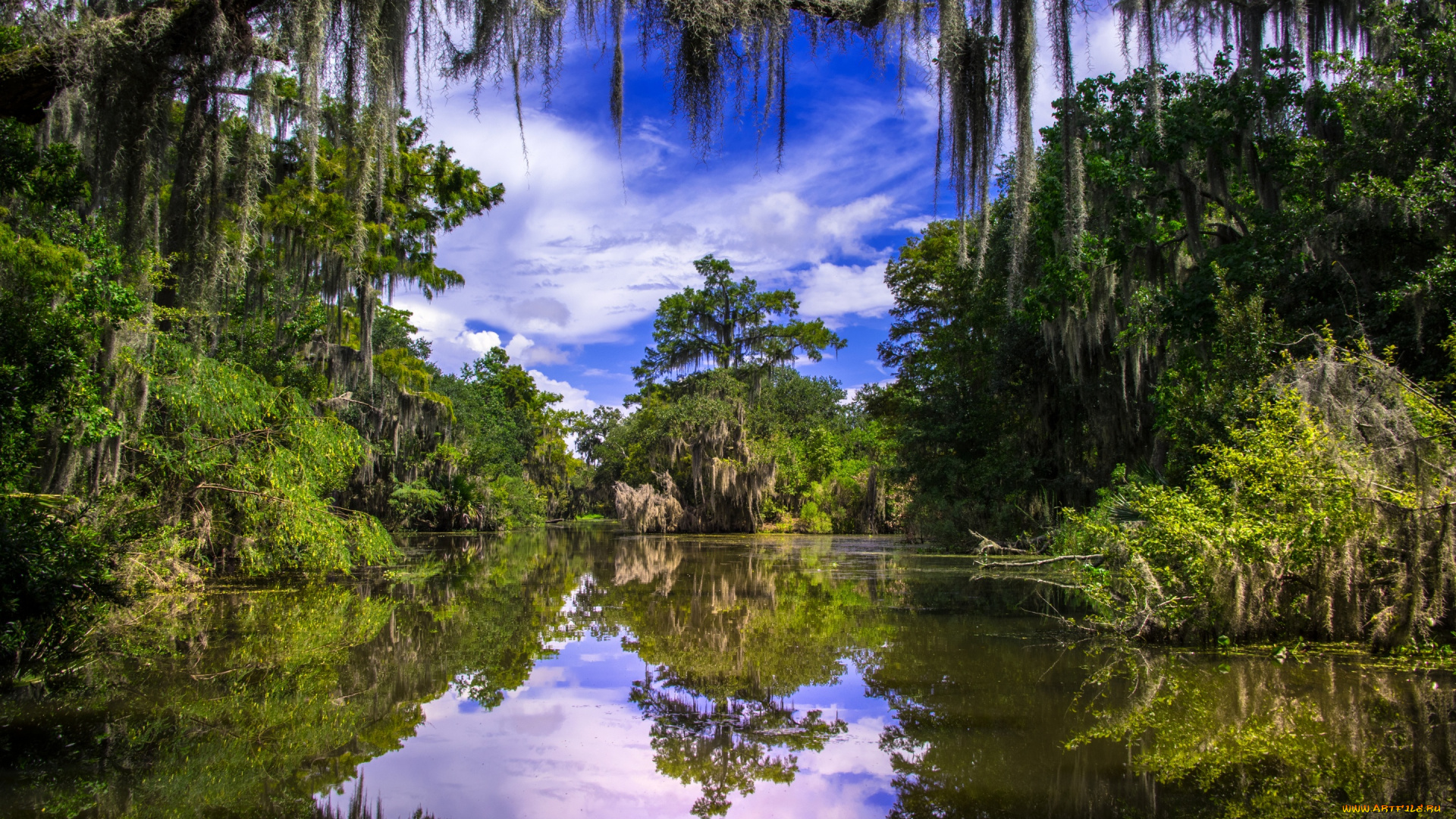 природа, реки, озера, луизиана, louisiana, отражение, barataria, баратария, деревья, река