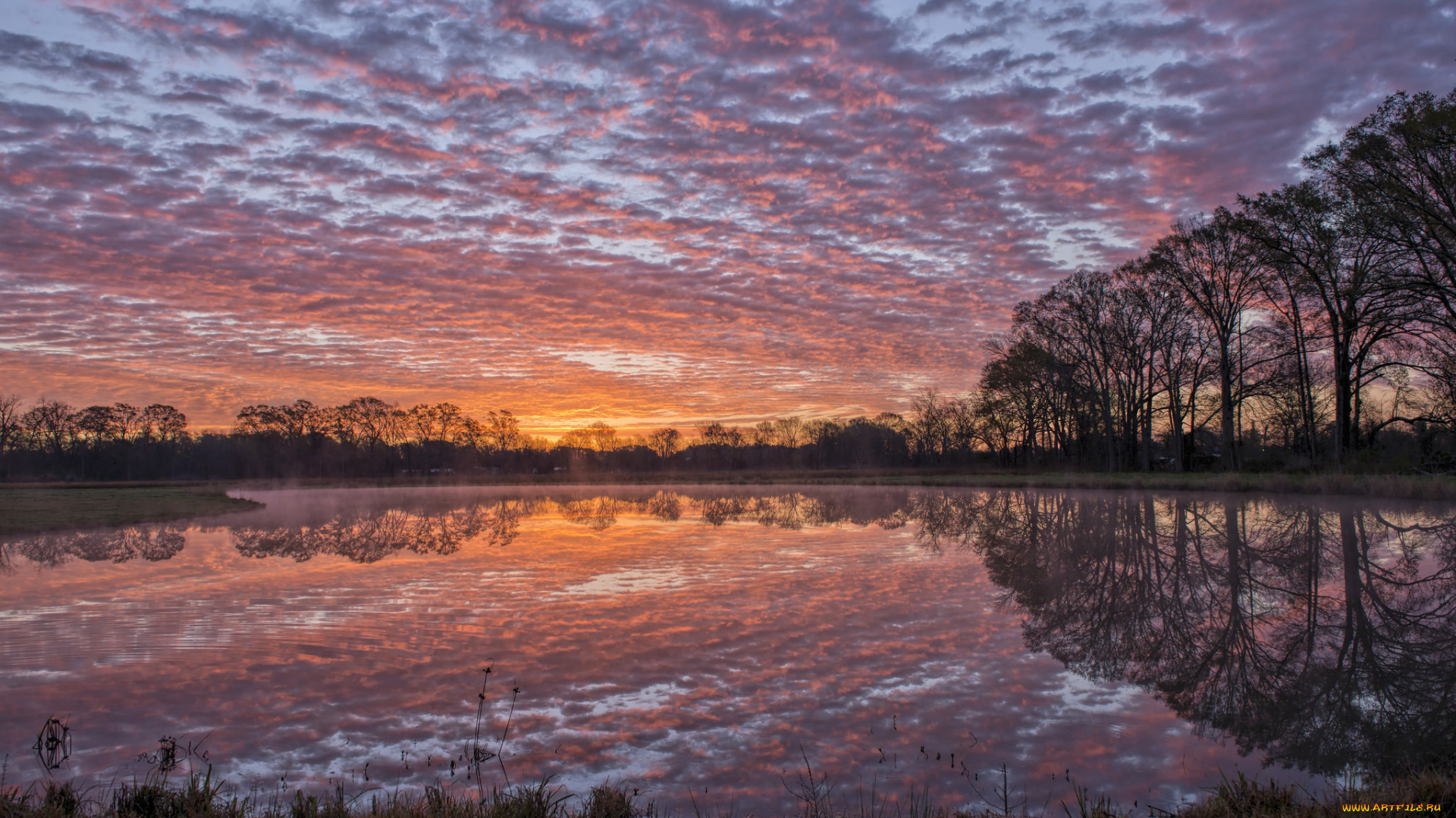 природа, восходы, закаты, небо, луизиана, вода, вечер, берег, деревья, отражение, гладь, сша, облака, река, закат