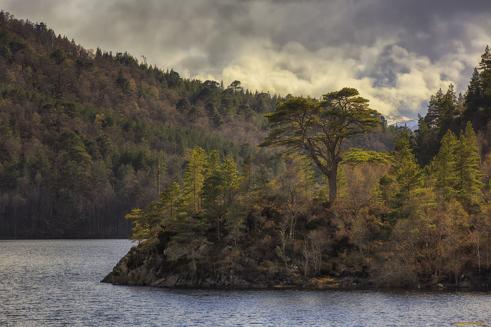 природа, реки, озера, лес, река