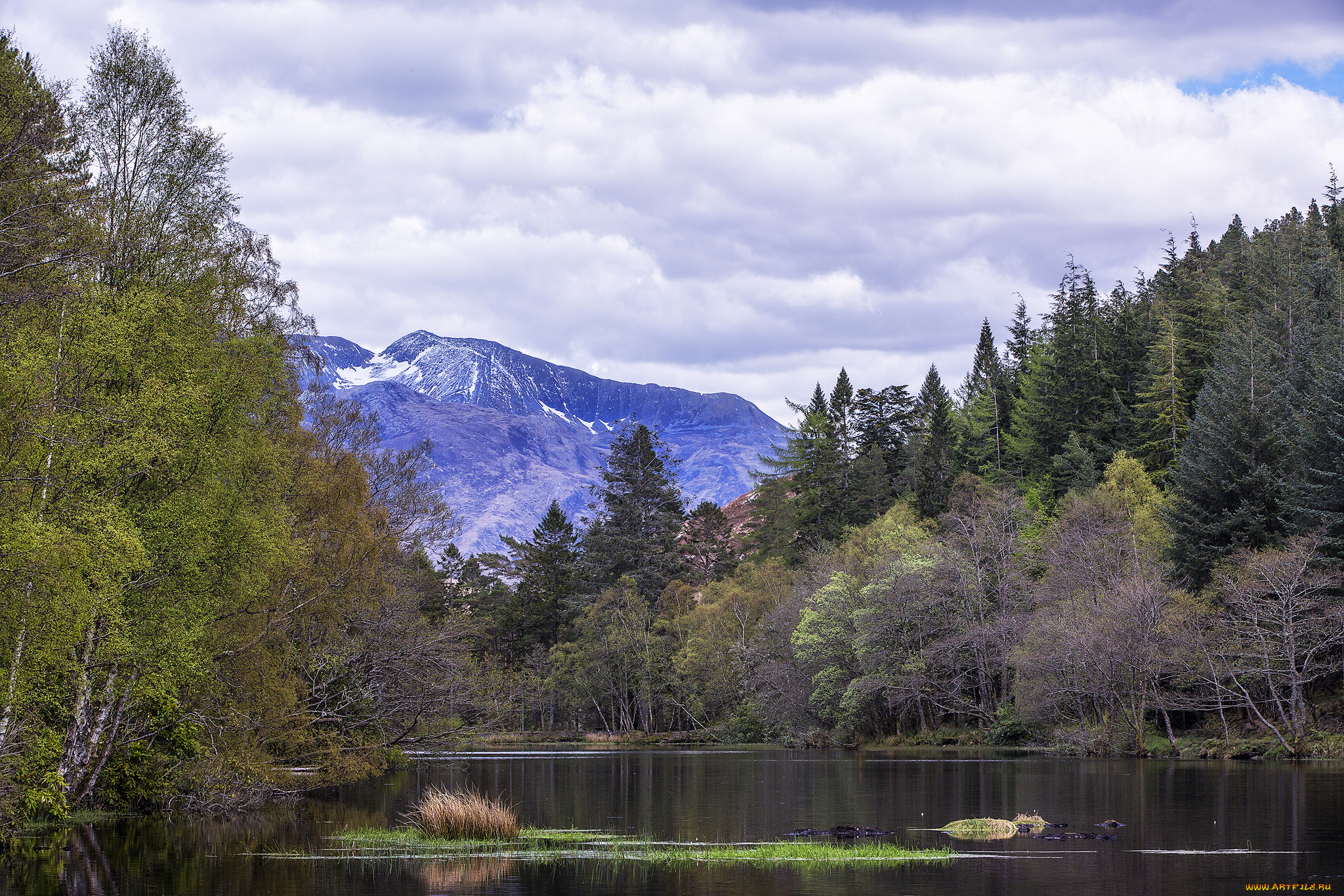 природа, реки, озера, река, лес