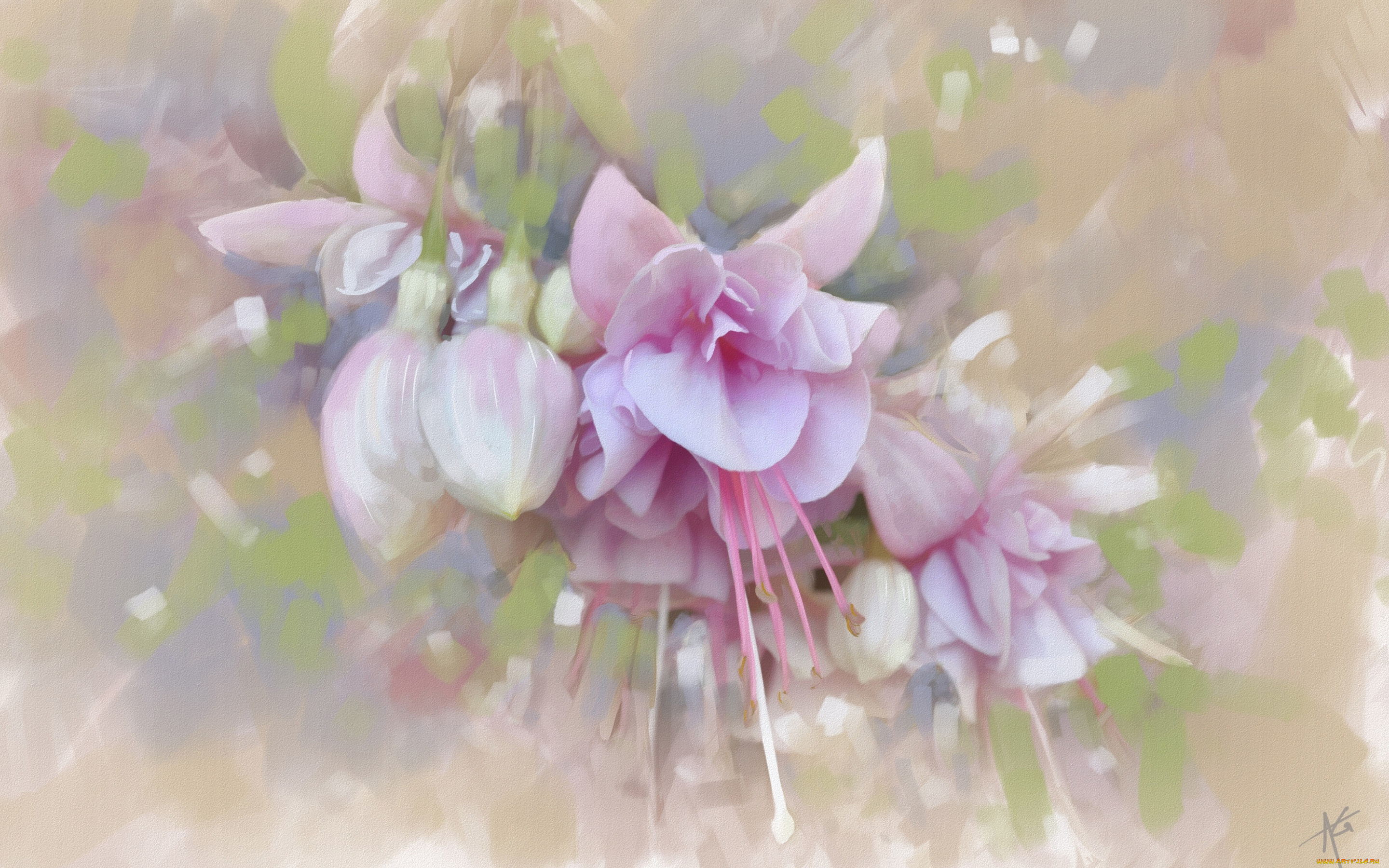 рисованное, цветы, текстура, фуксия, бутончики