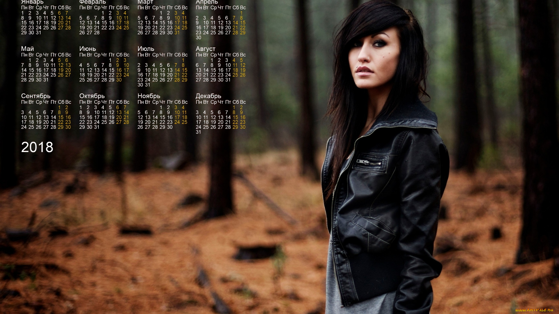 календари, девушки, анфас, лес, взгляд