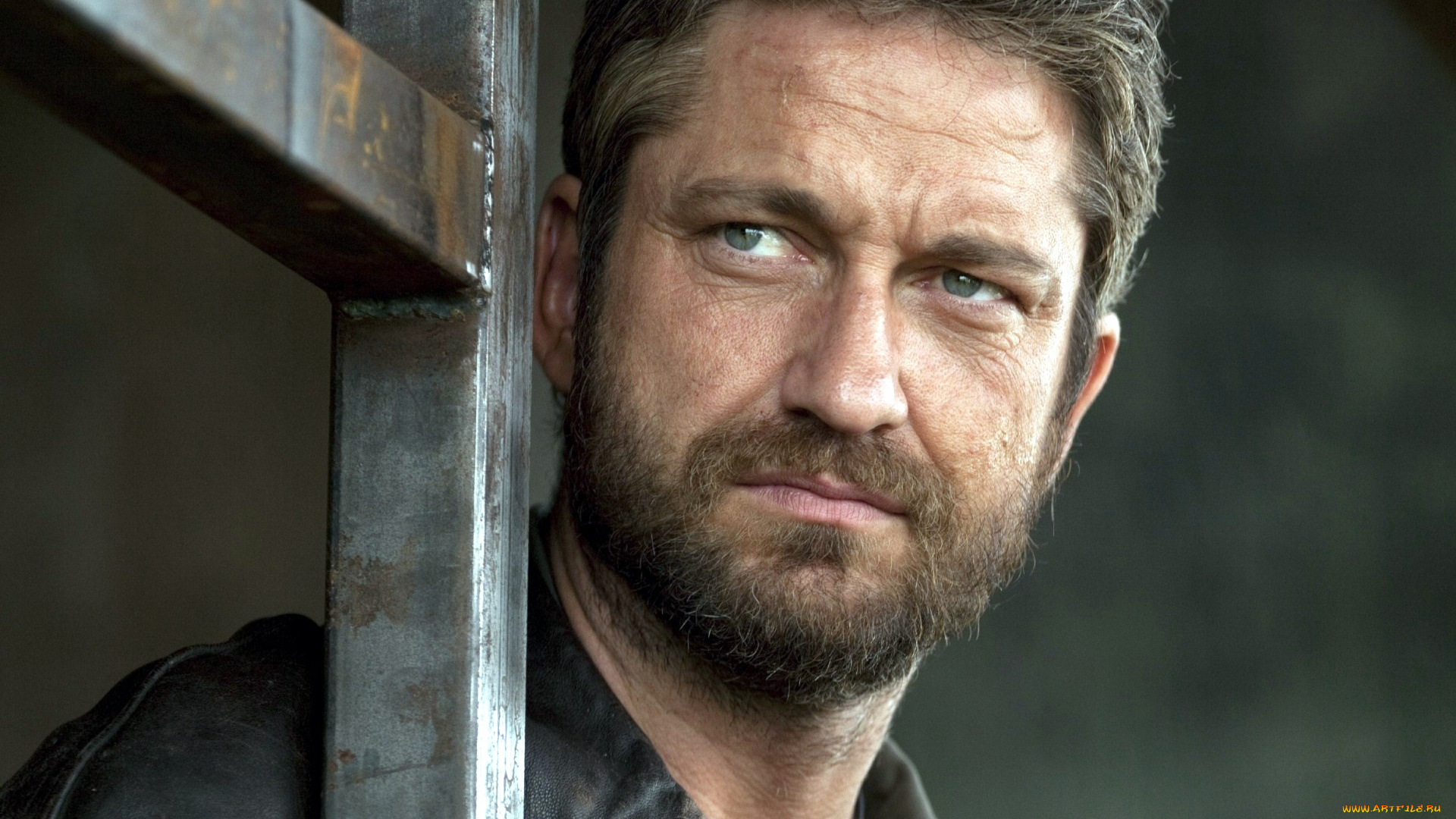 мужчины, gerard, butler, усы, борода