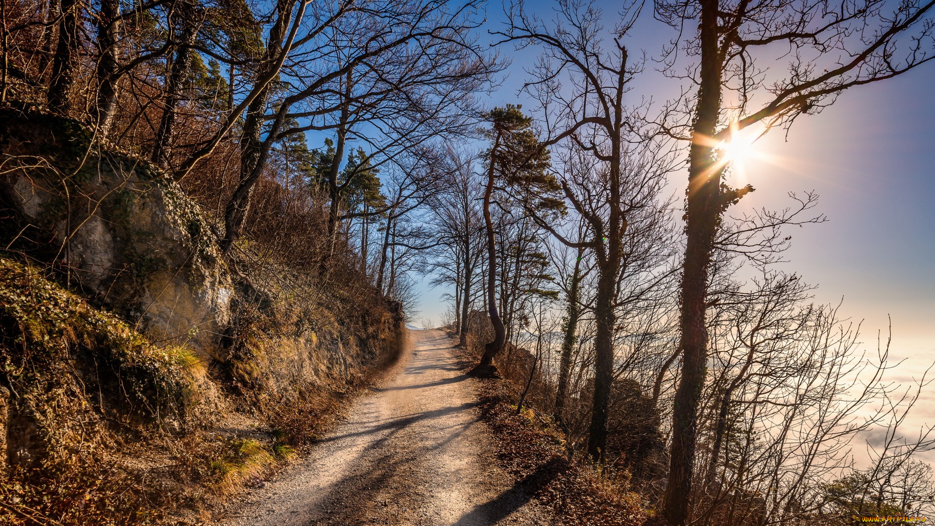 природа, дороги, дорога, утро