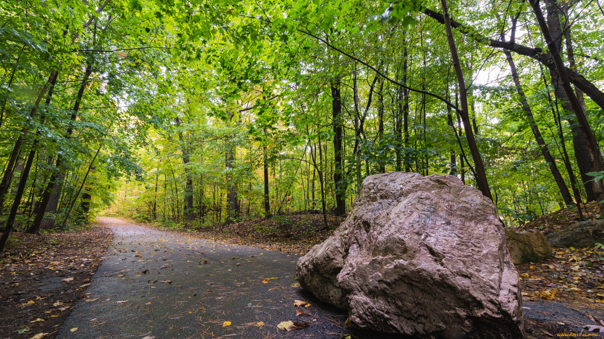 природа, дороги, простор