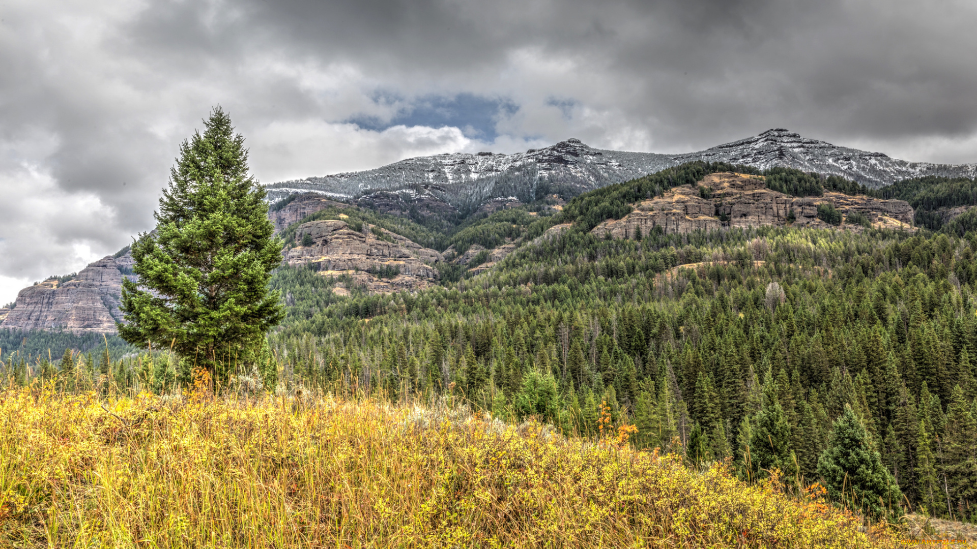 природа, пейзажи, простор
