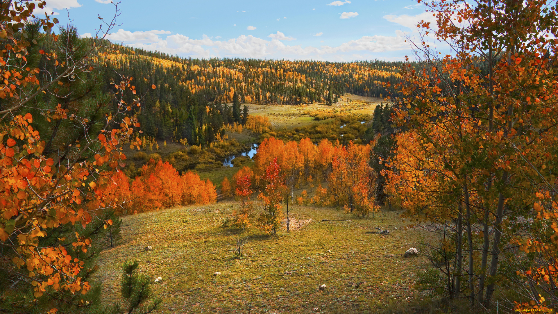 природа, пейзажи, простор