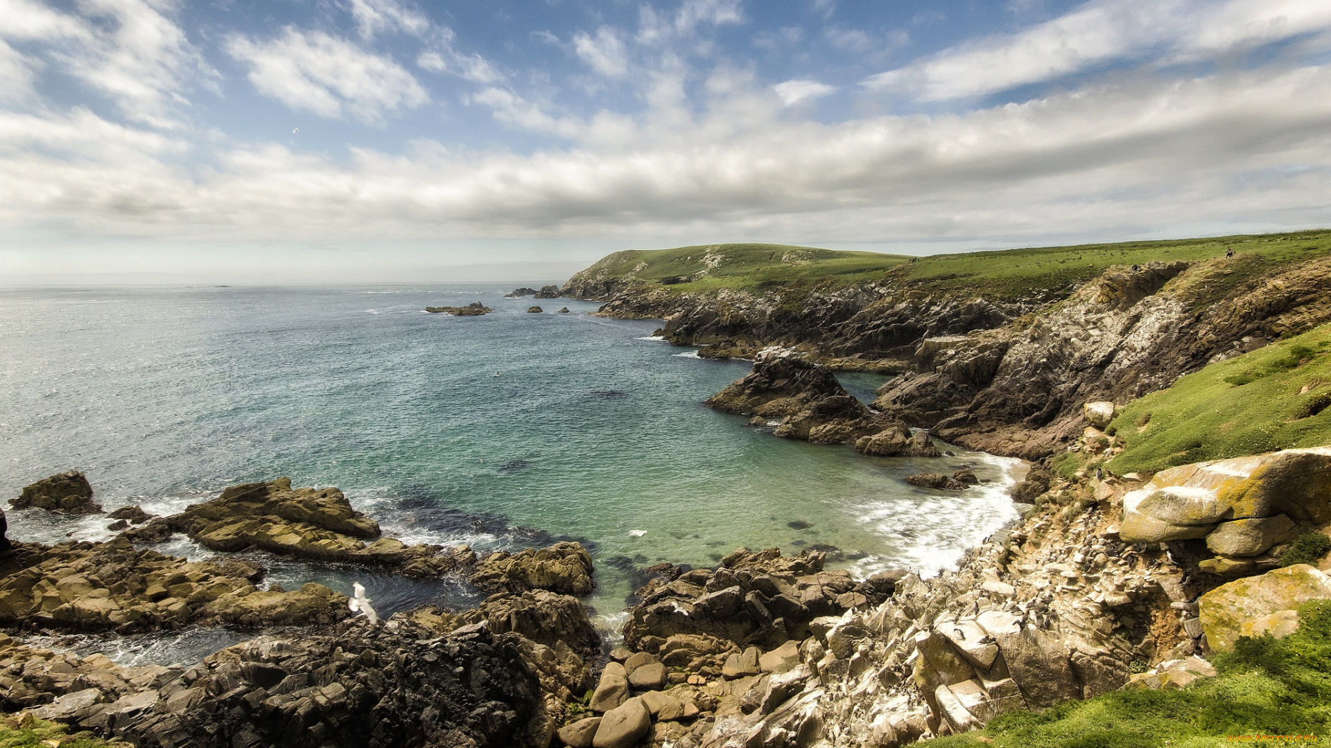 природа, побережье, простор