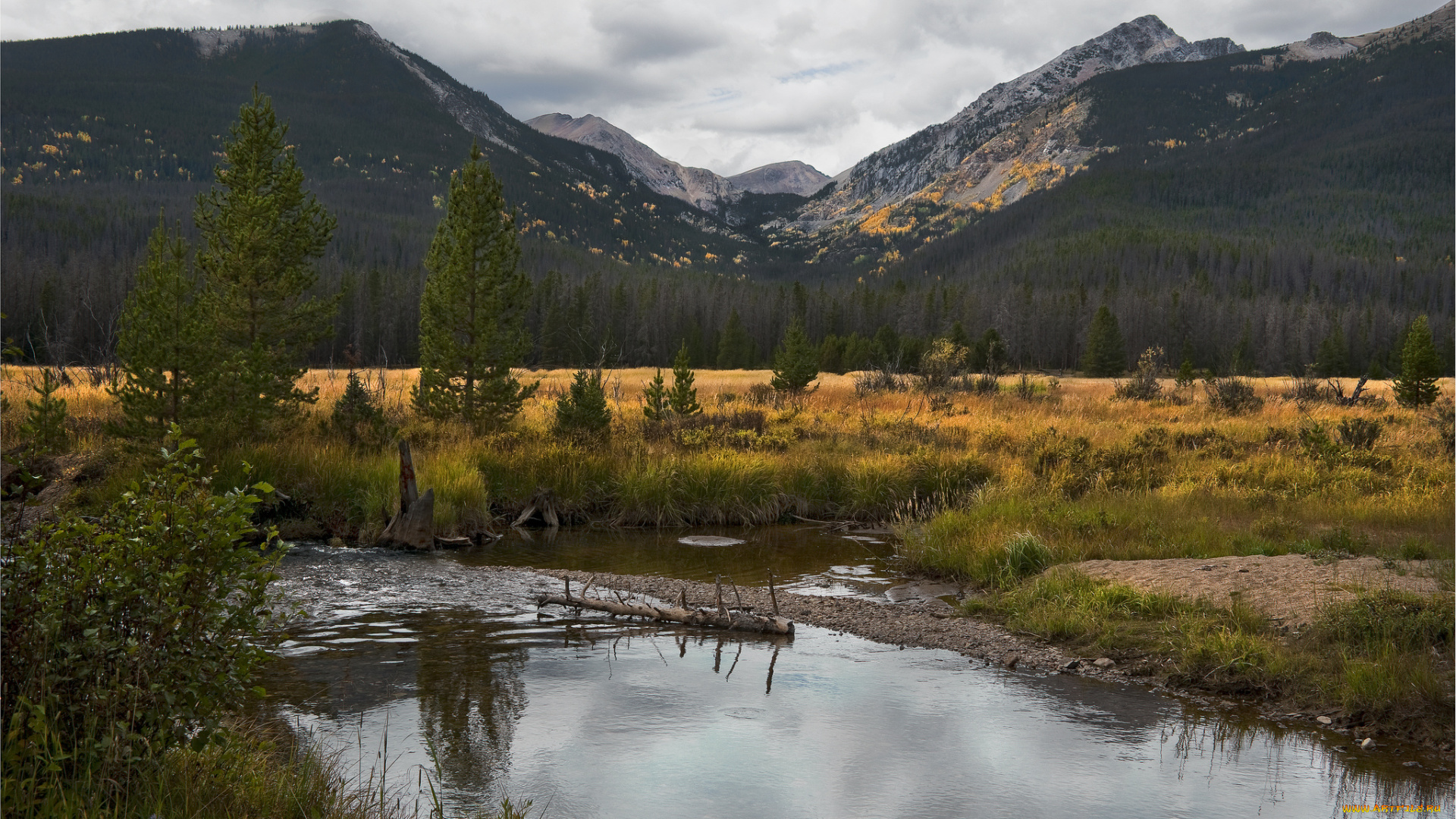 природа, реки, озера, простор