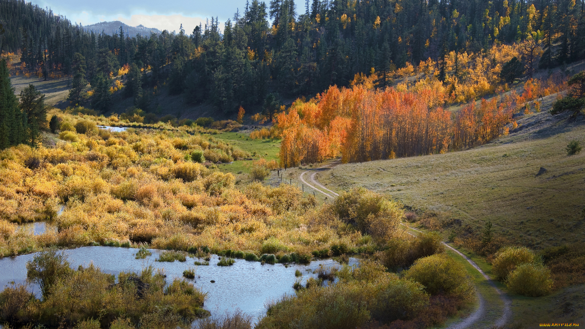 природа, реки, озера, простор