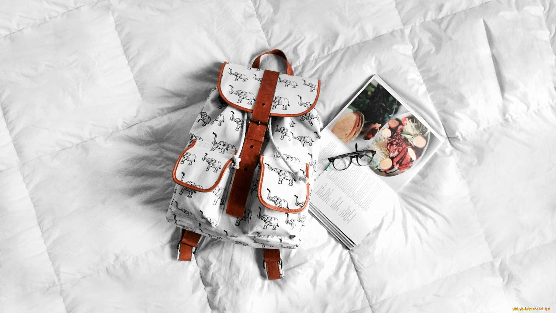 разное, сумки, , кошельки, , зонты, журнал, очки, рюкзак