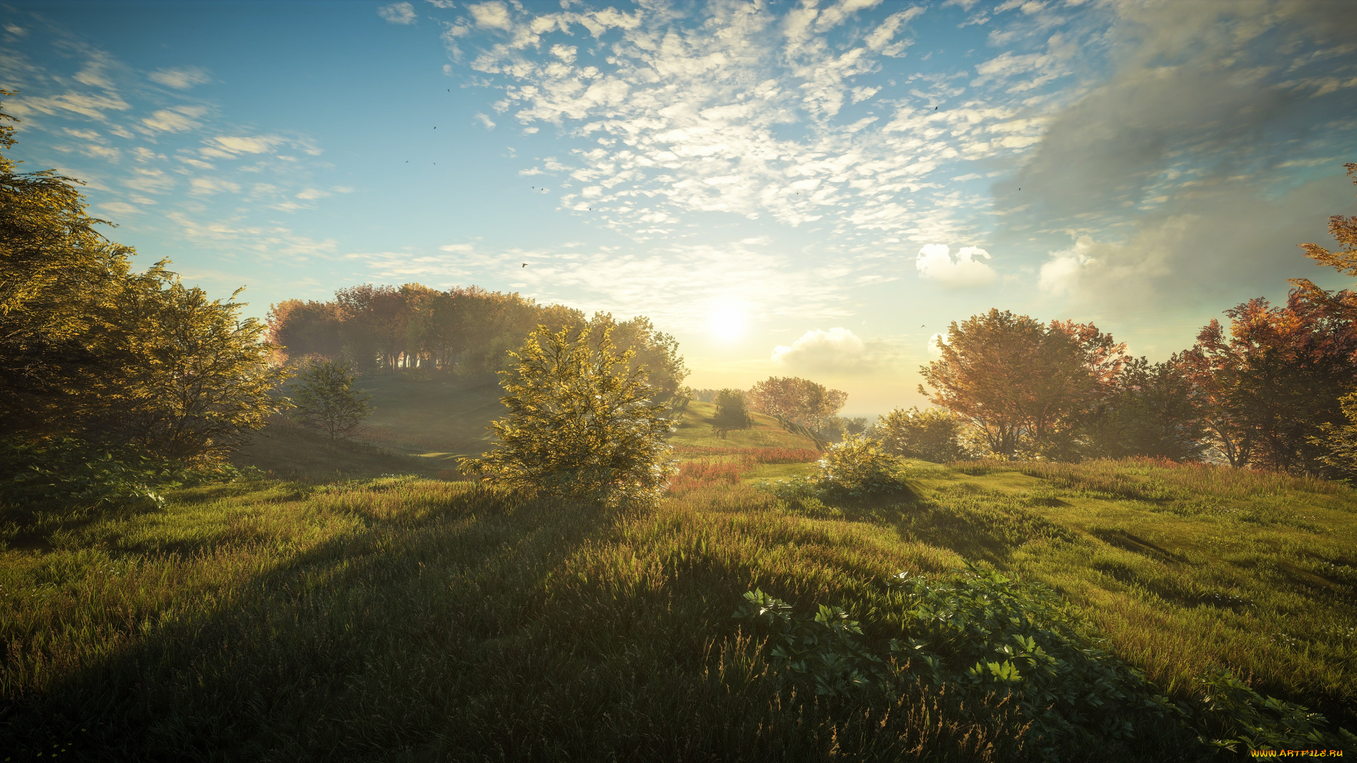 видео, игры, the, hunter, the, hunter