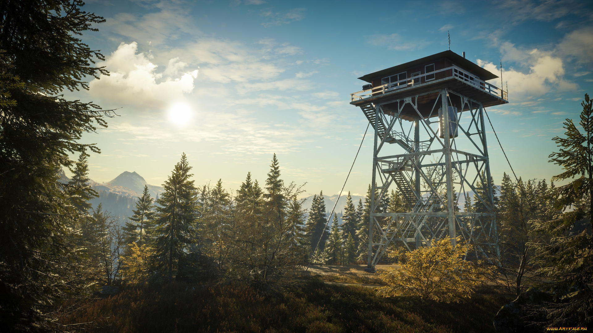 видео, игры, the, hunter, the, hunter