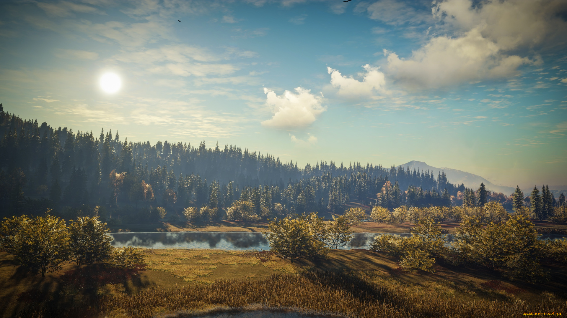 видео, игры, the, hunter, the, hunter