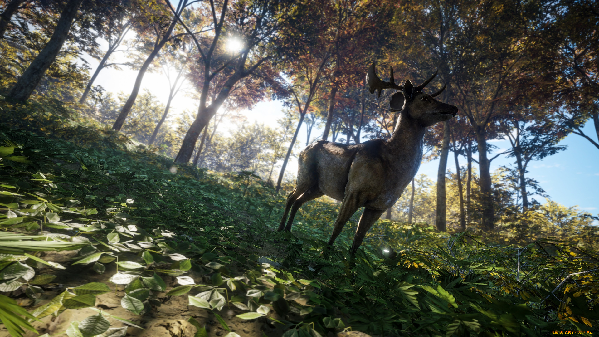 видео, игры, the, hunter, the, hunter