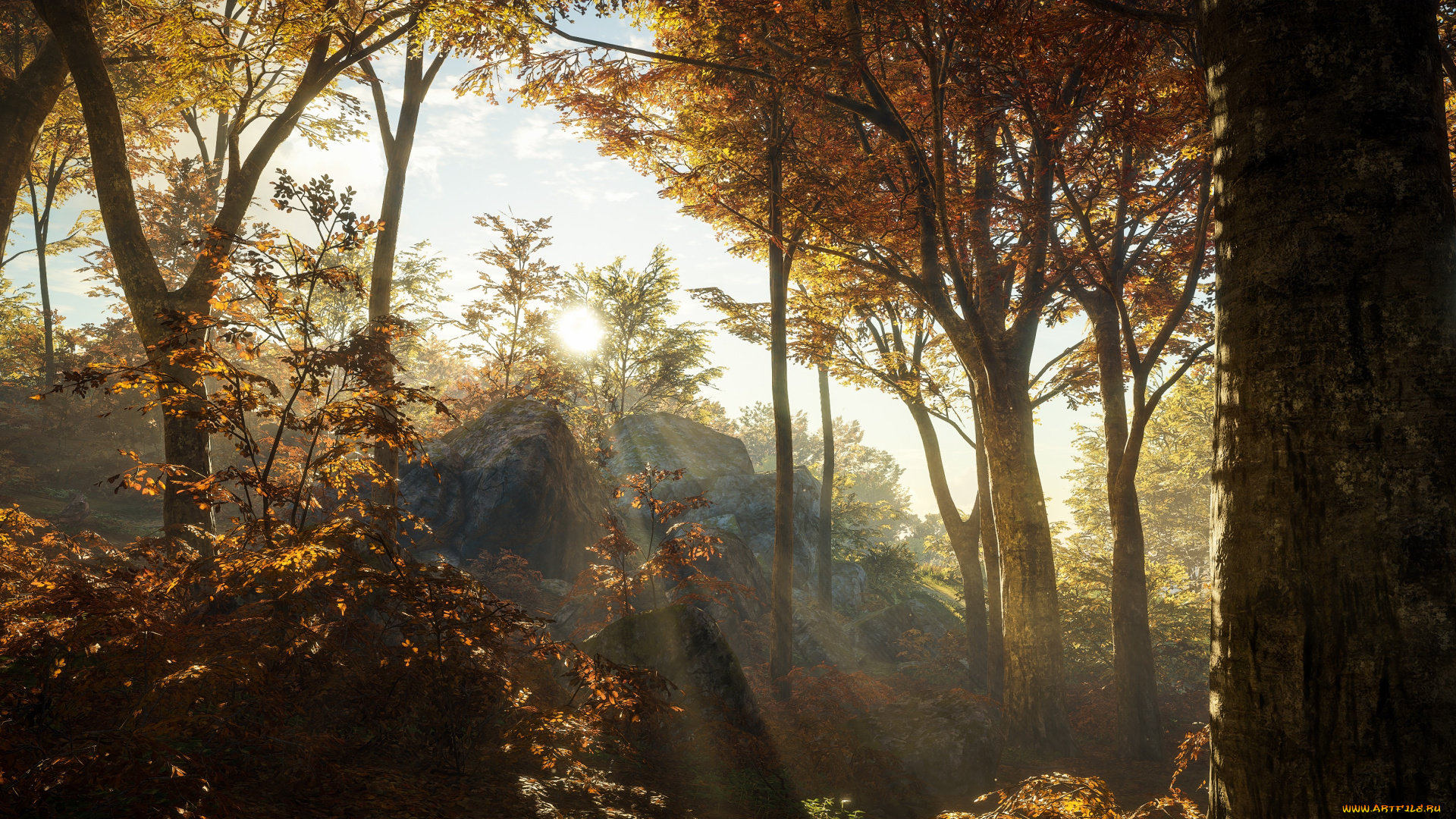 видео, игры, the, hunter, the, hunter