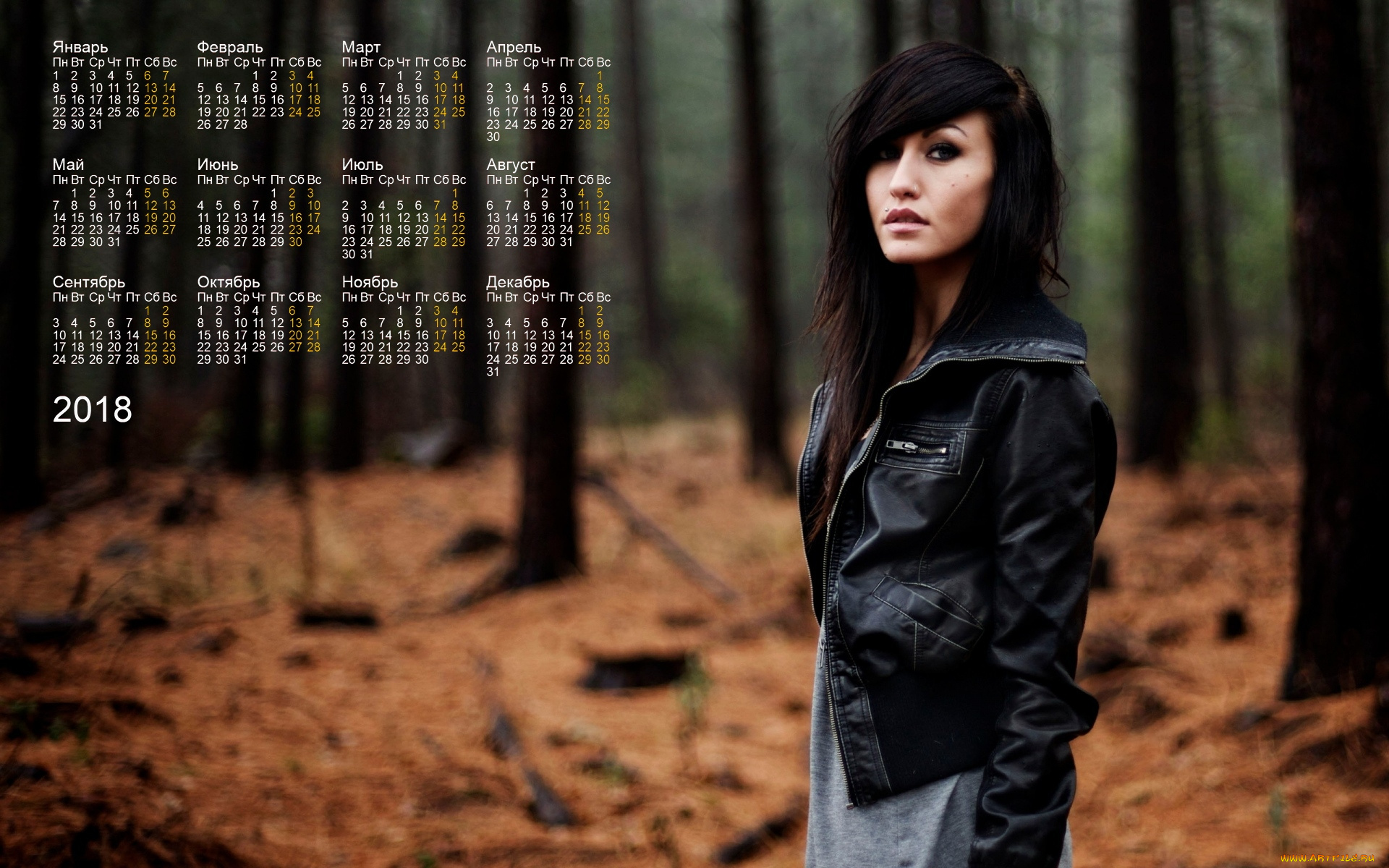 календари, девушки, анфас, лес, взгляд