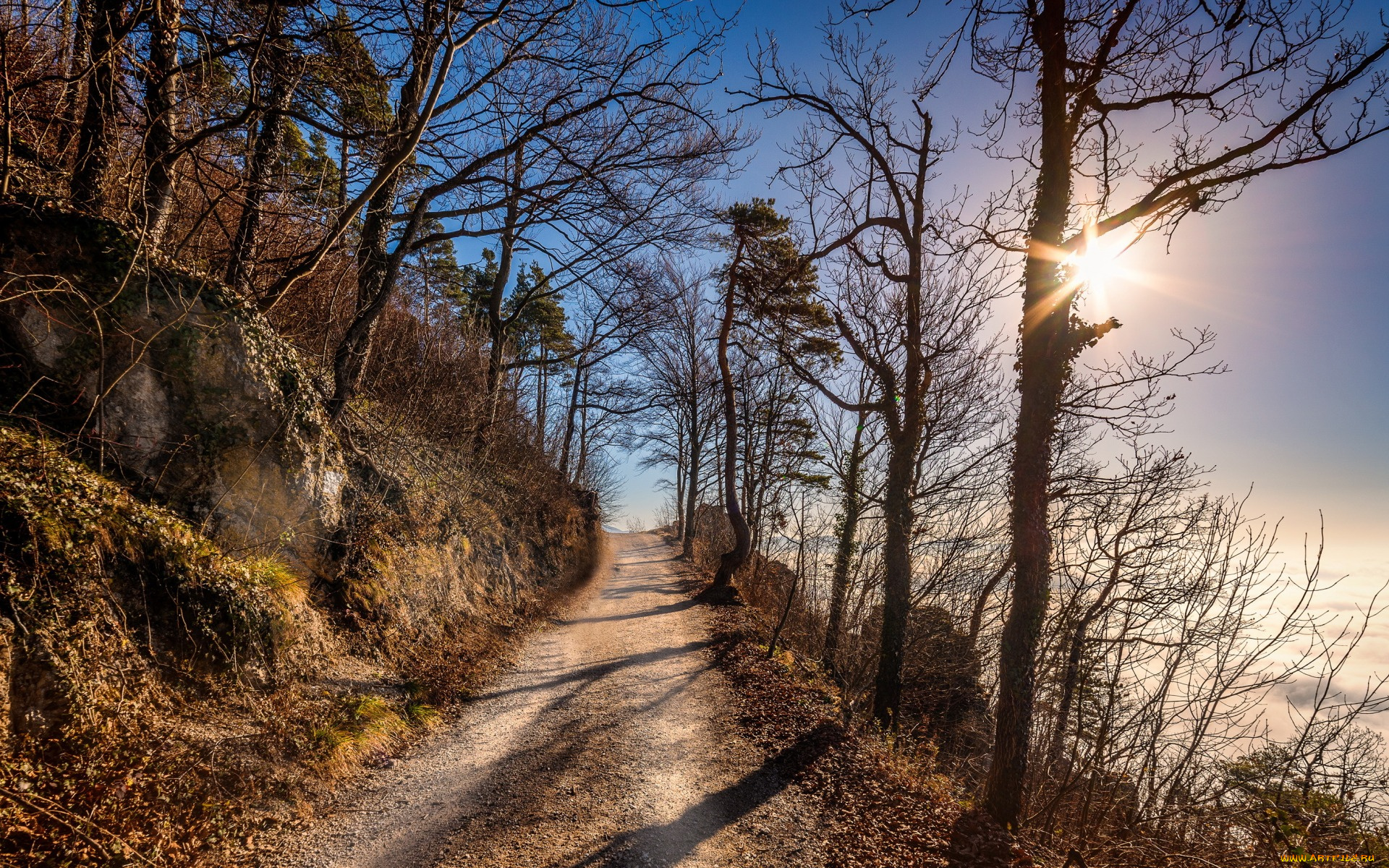 природа, дороги, дорога, утро