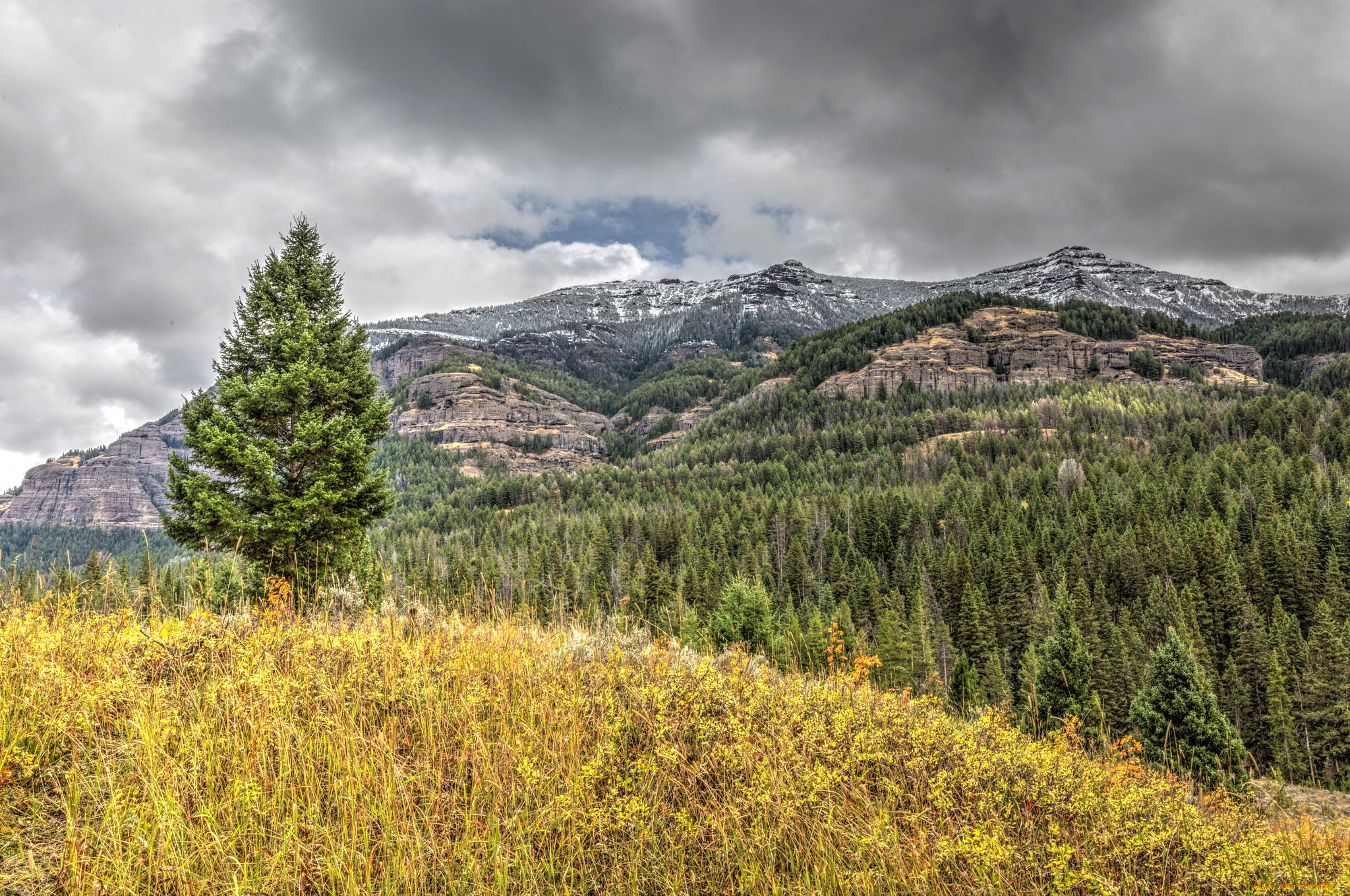 природа, пейзажи, простор