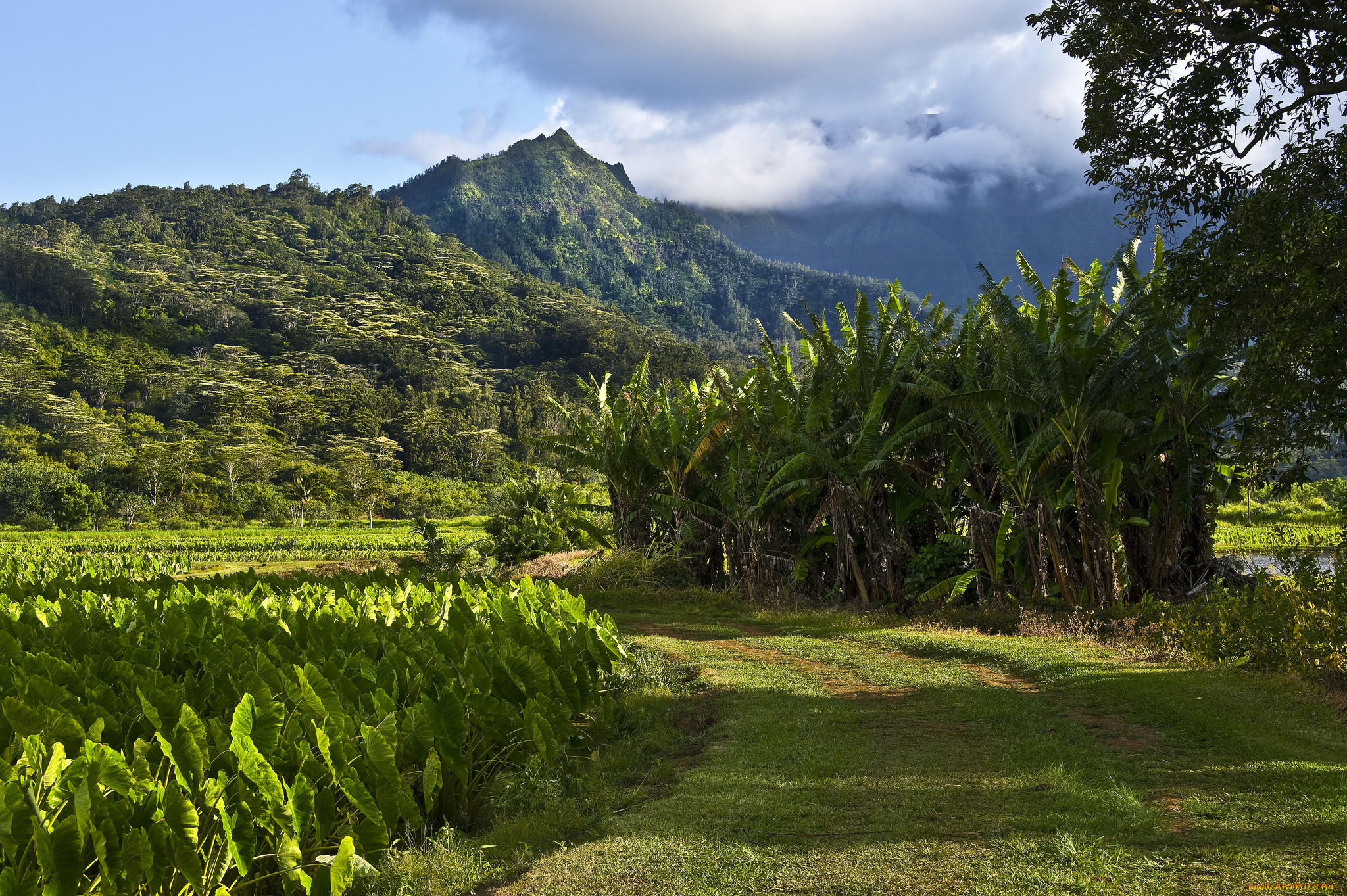 природа, пейзажи, простор