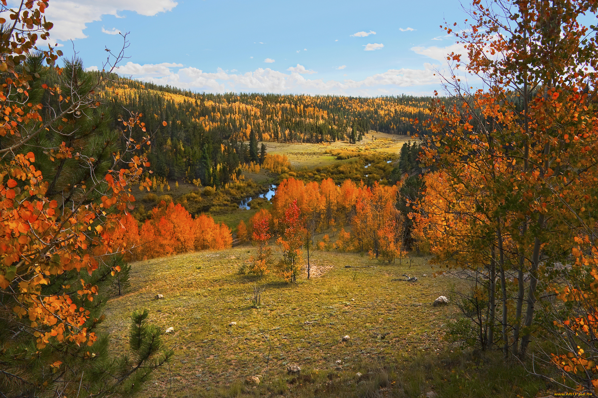 природа, пейзажи, простор