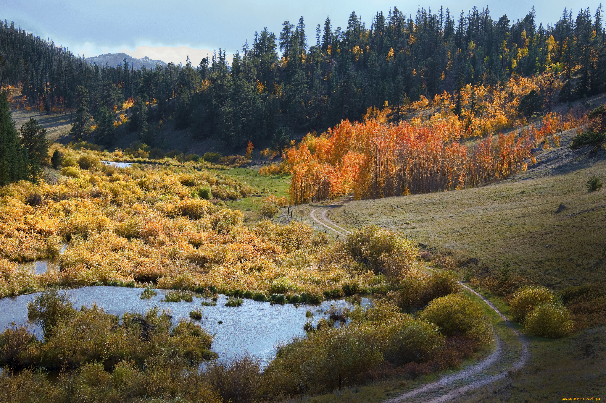 природа, реки, озера, простор