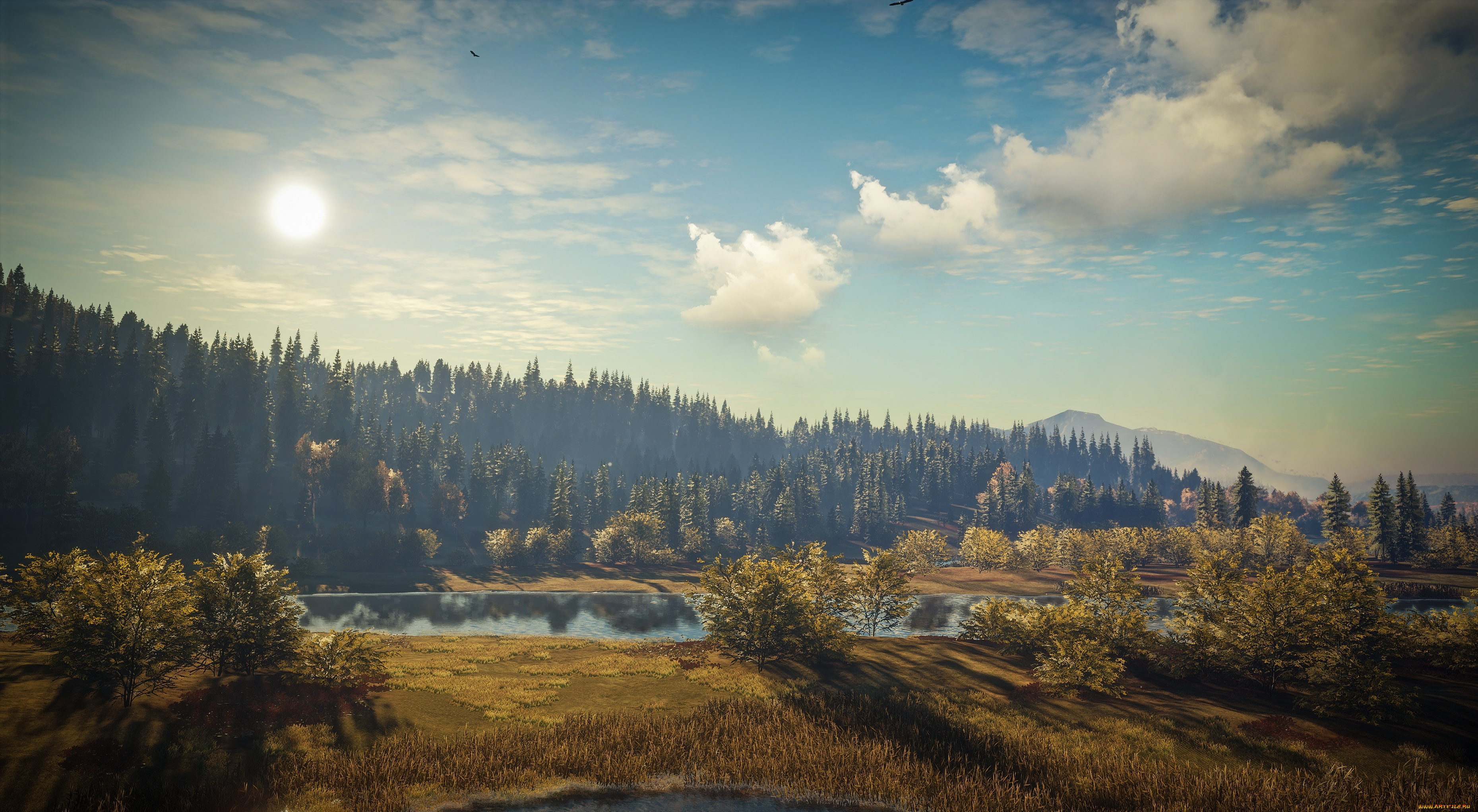 видео, игры, the, hunter, the, hunter