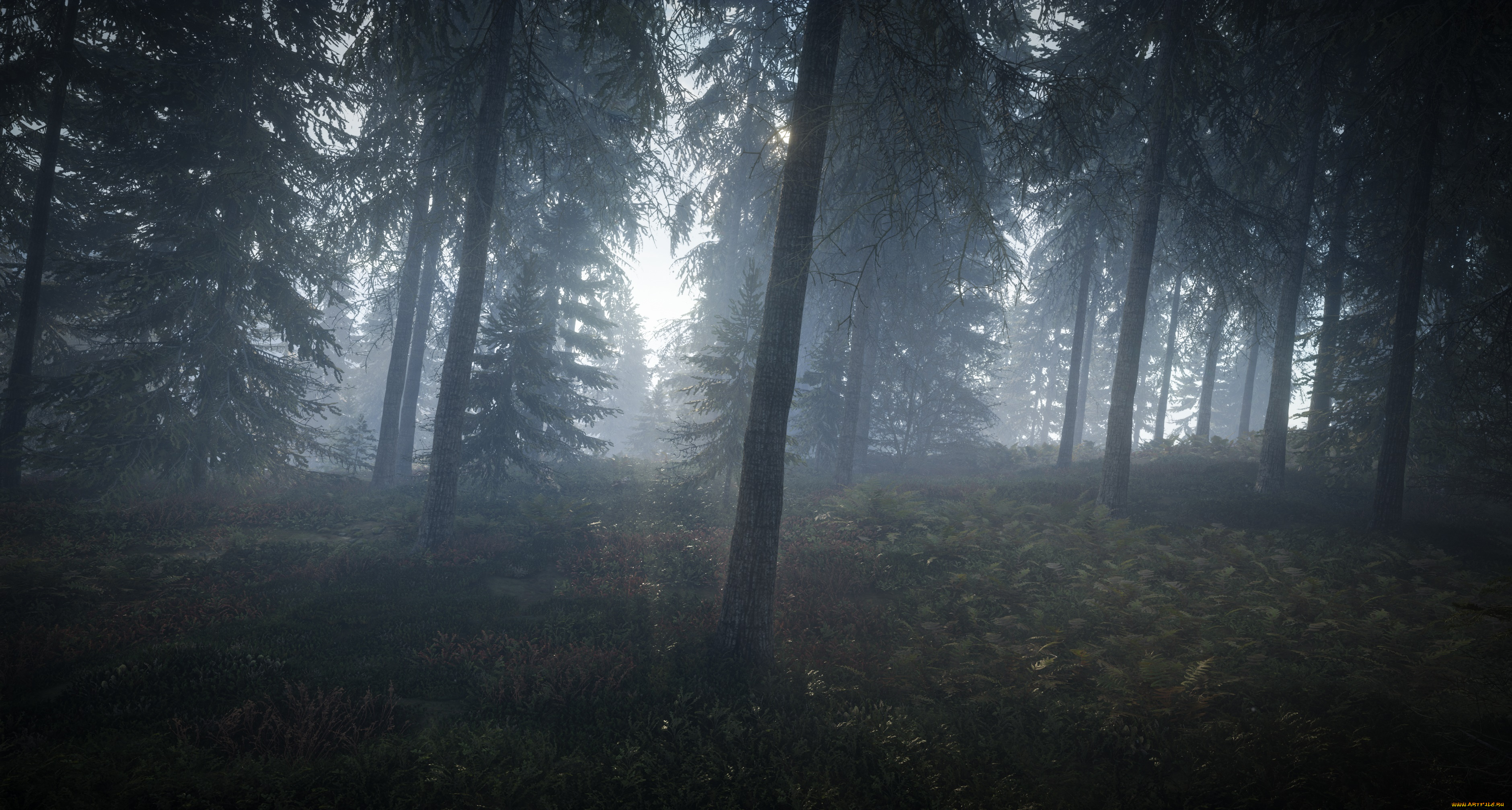 видео, игры, the, hunter, the, hunter