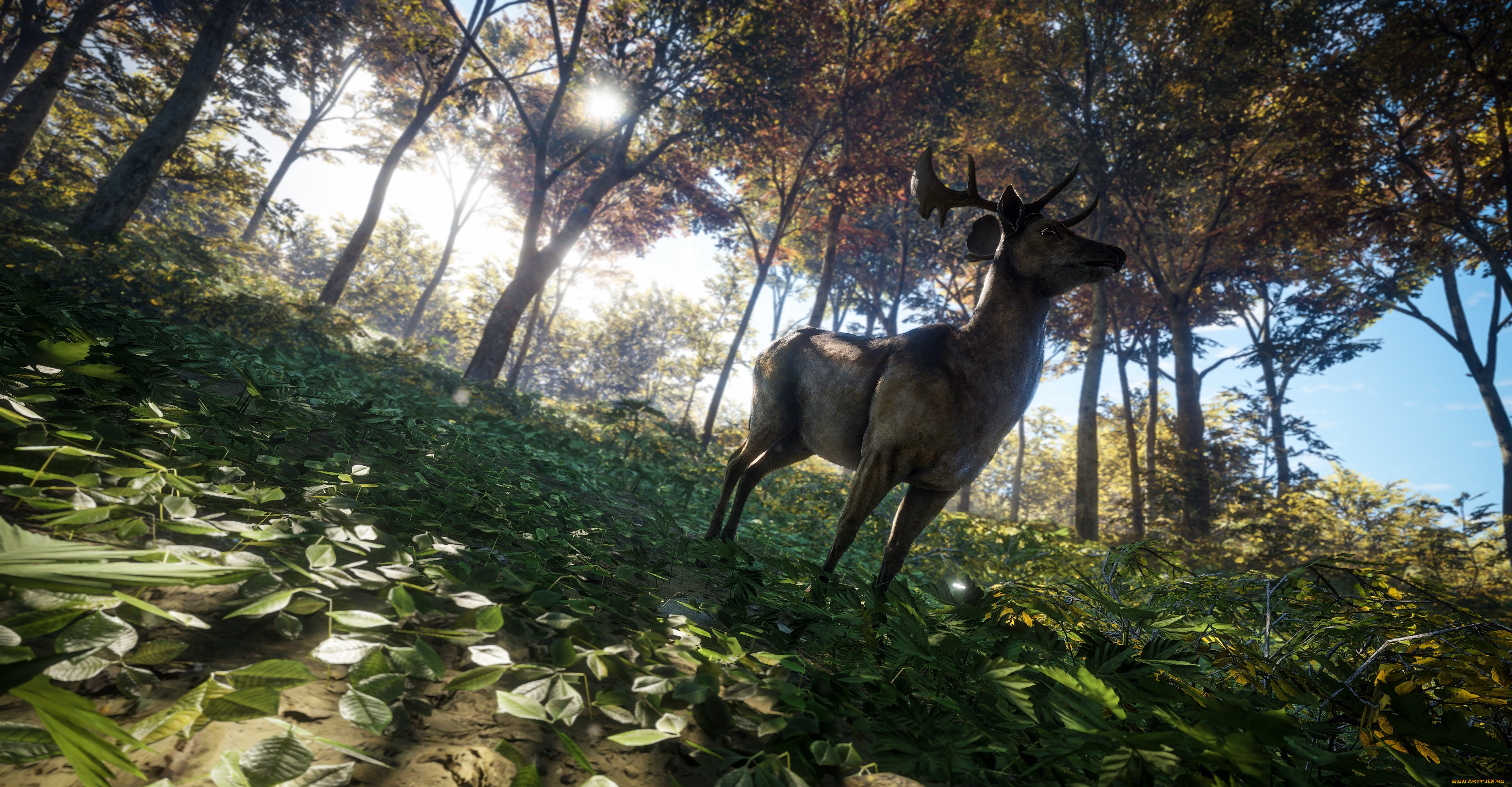 видео, игры, the, hunter, the, hunter